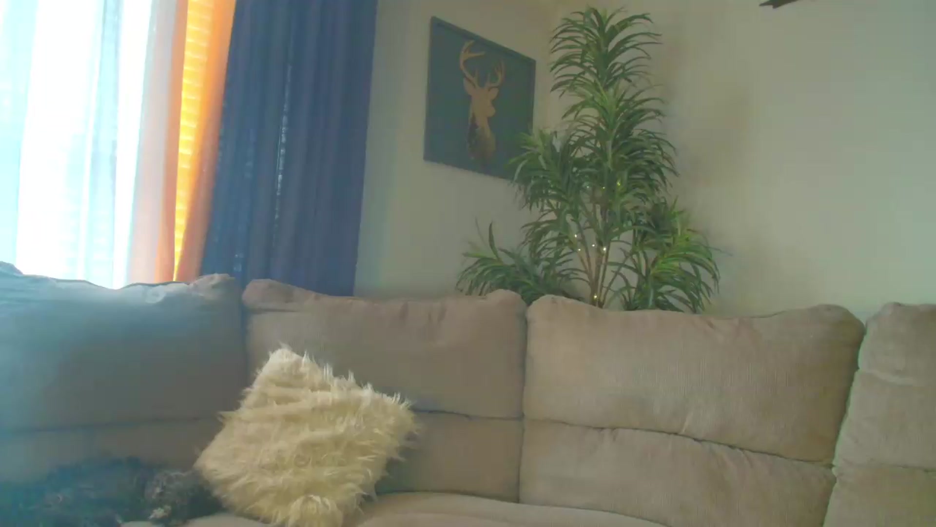 Gallery image thumbnail from PoleBunnyXxx's myfreecams stream on, 05/20/2026, 17:15 image 9 of 20