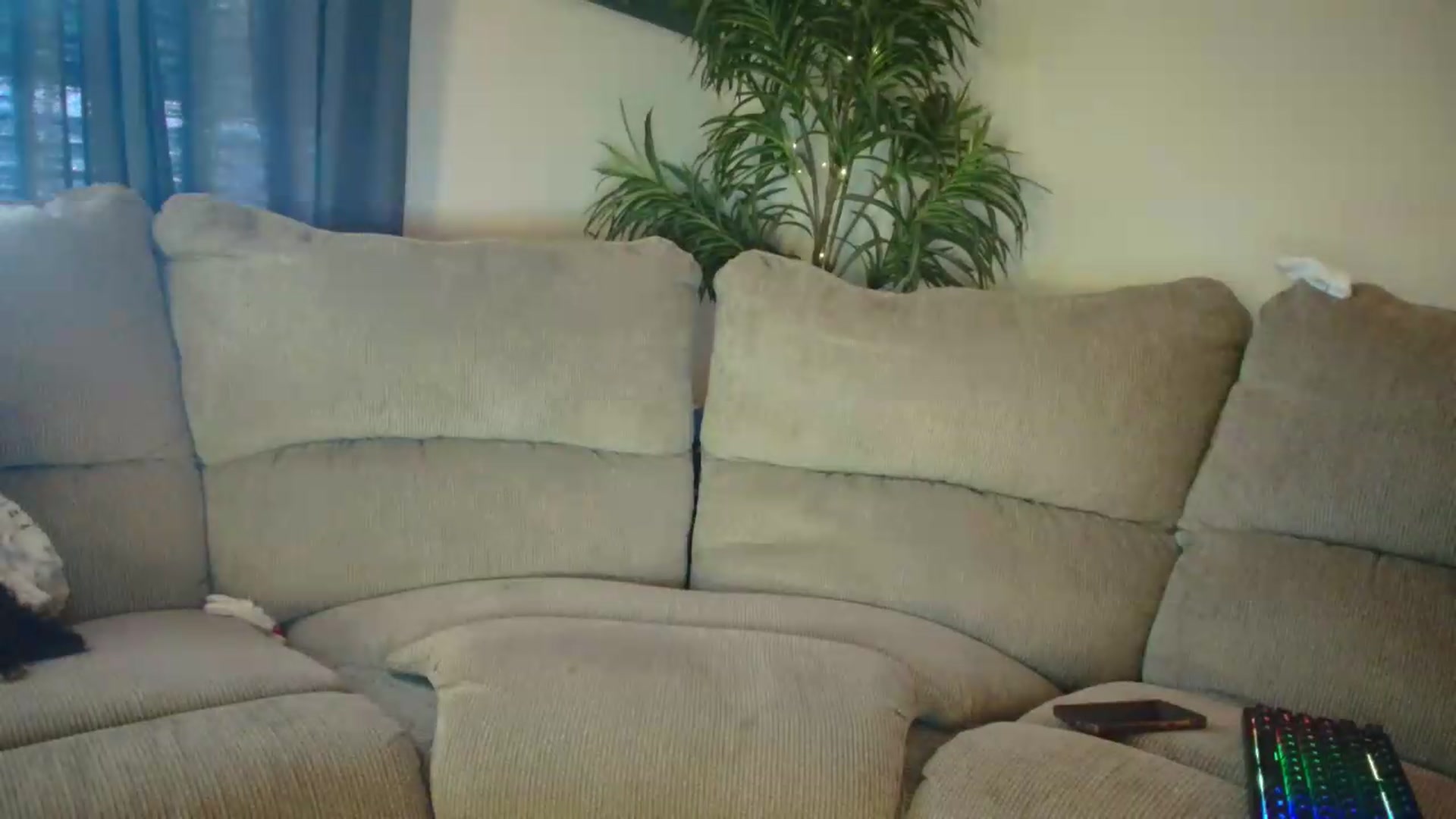 Gallery image thumbnail from PoleBunnyXxx's myfreecams stream on, 05/21/2026, 19:09 image 12 of 20