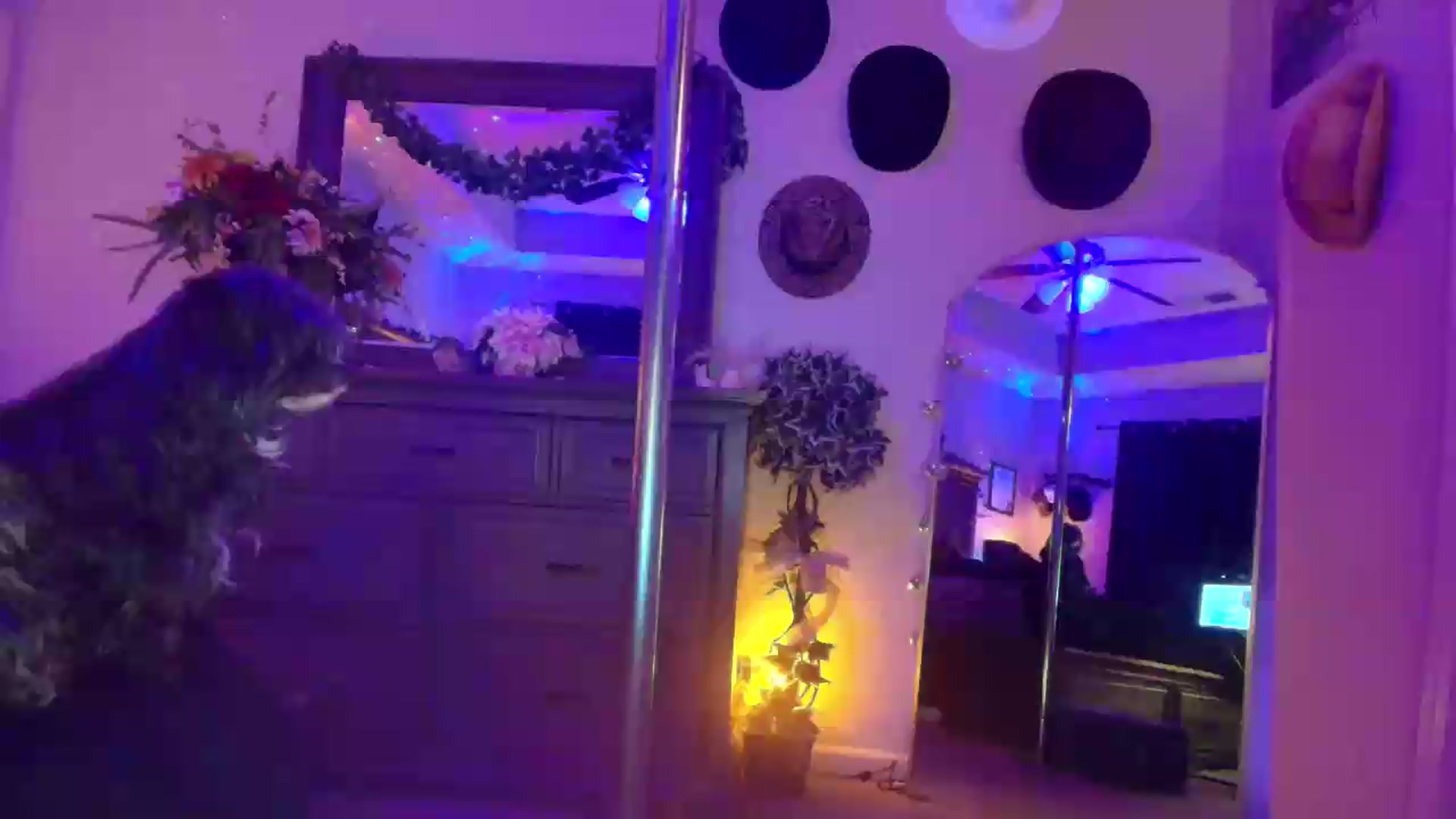Gallery image thumbnail from PoleBunnyXxx's myfreecams stream on, 05/25/2026, 02:30 image 11 of 20
