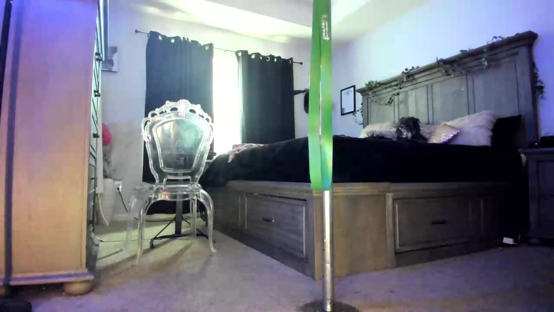Gallery image thumbnail from PoleBunnyXxx's myfreecams stream on, 07/06/2026, 01:13 image 2 of 20