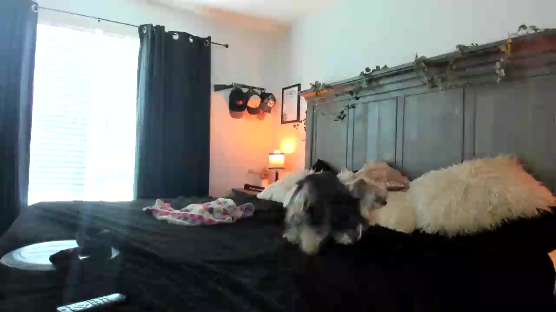 Gallery image thumbnail from PoleBunnyXxx's myfreecams stream on, 07/07/2026, 01:07 image 1 of 20