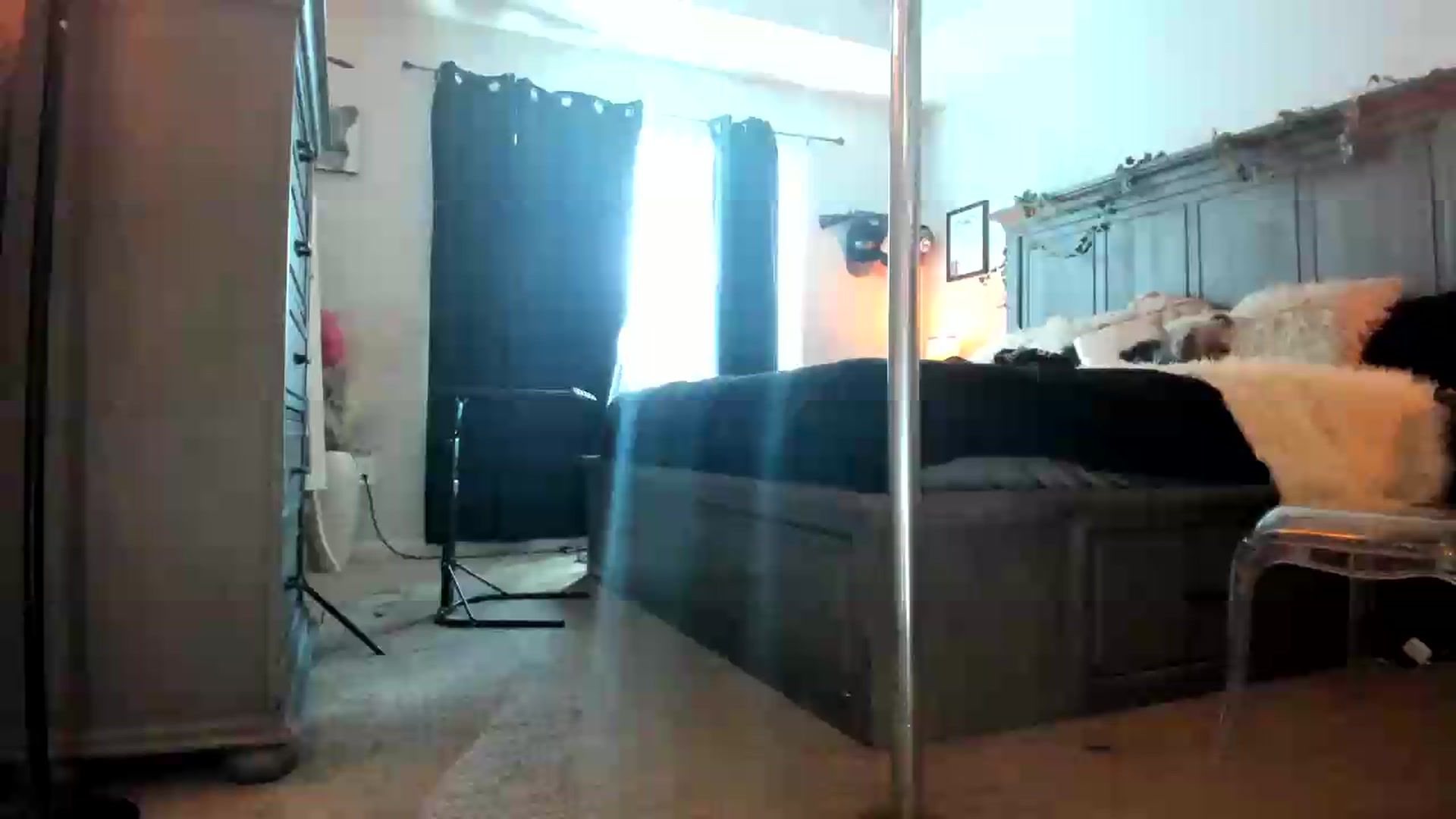 Gallery image thumbnail from PoleBunnyXxx's myfreecams stream on, 07/09/2026, 20:30 image 3 of 20