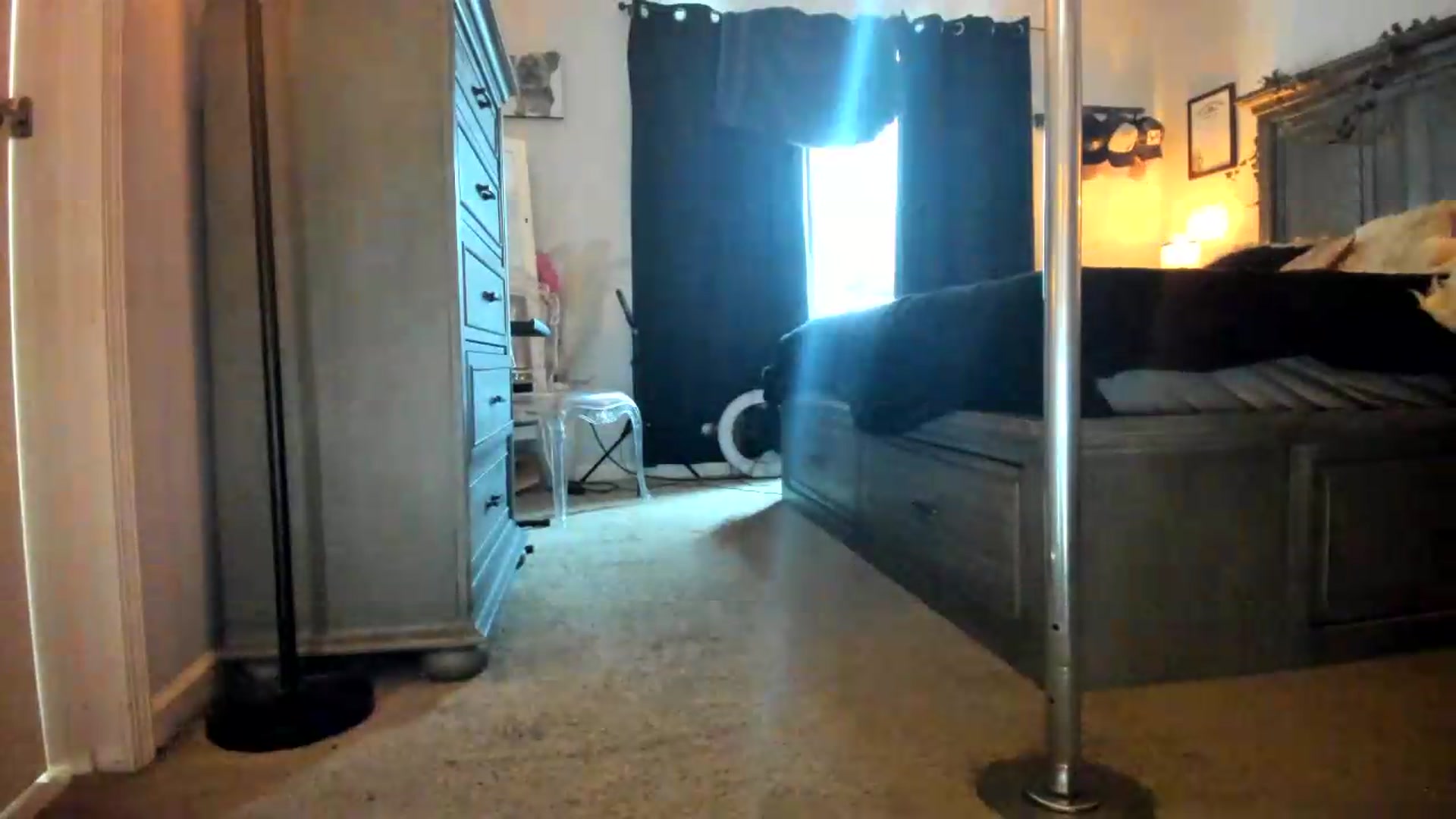 Gallery image thumbnail from PoleBunnyXxx's myfreecams stream on, 07/12/2026, 17:00 image 4 of 20