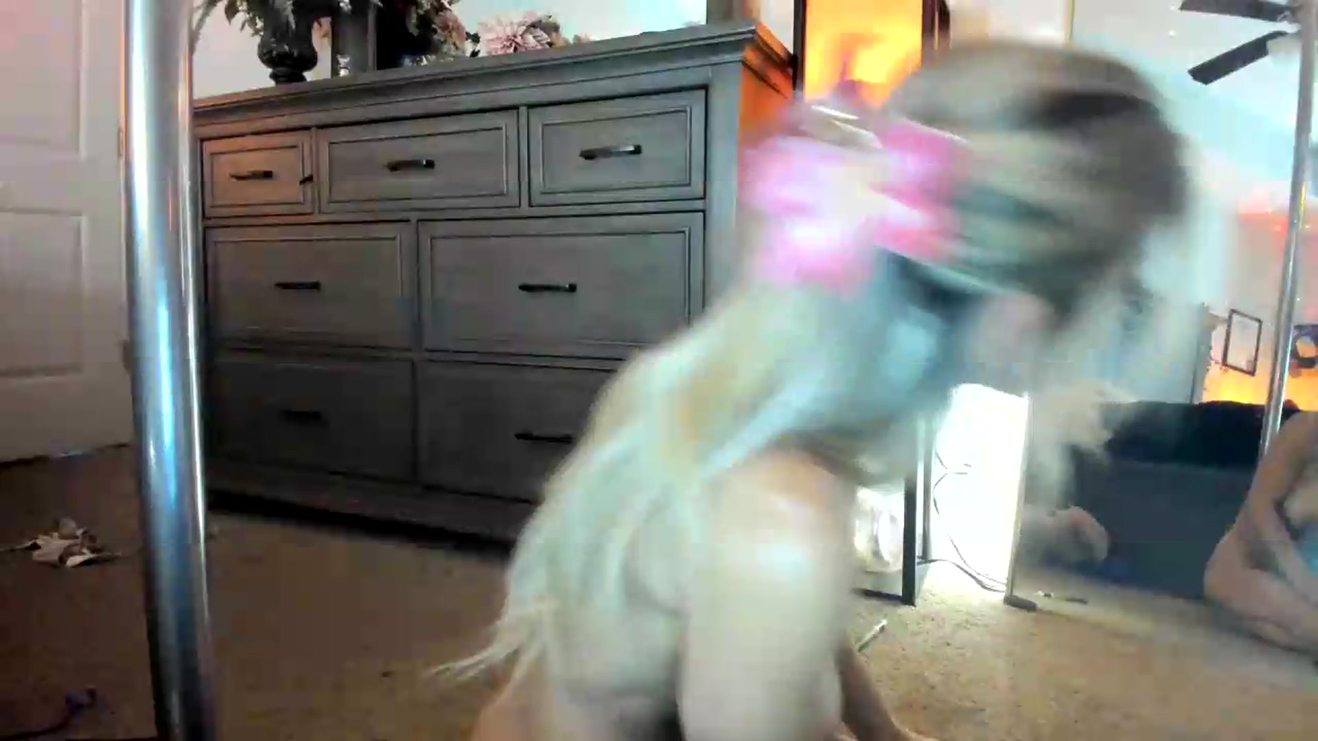 Gallery image thumbnail from PoleBunnyXxx's myfreecams stream on, 07/12/2026, 20:01 image 19 of 20