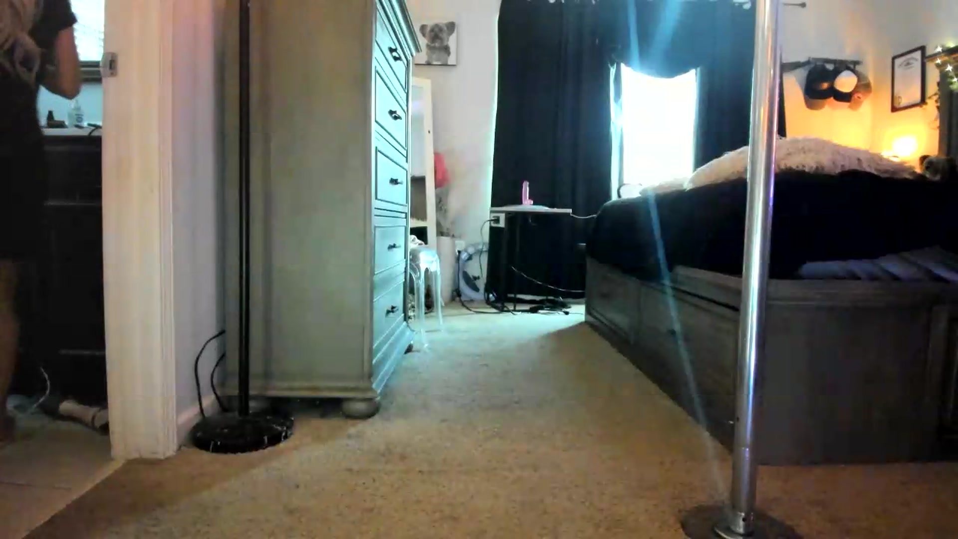 Gallery image thumbnail from PoleBunnyXxx's myfreecams stream on, 07/22/2026, 01:19 image 11 of 20