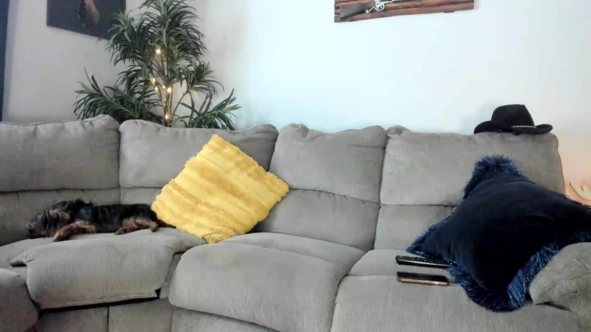 Gallery image thumbnail from PoleBunnyXxx's myfreecams stream on, 08/18/2026, 19:11 image 11 of 20