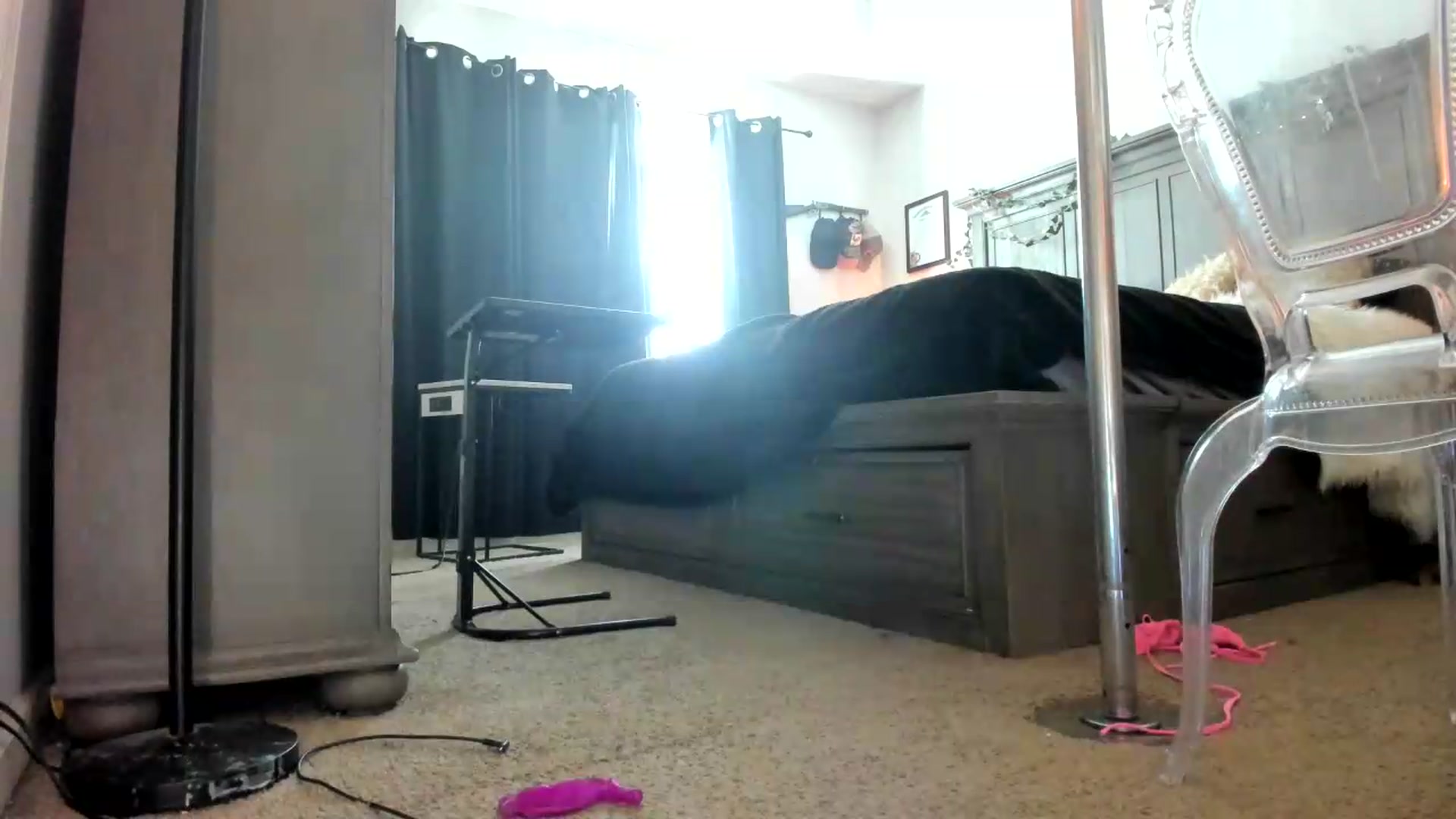 Gallery image thumbnail from PoleBunnyXxx's myfreecams stream on, 08/24/2026, 20:53 image 9 of 20