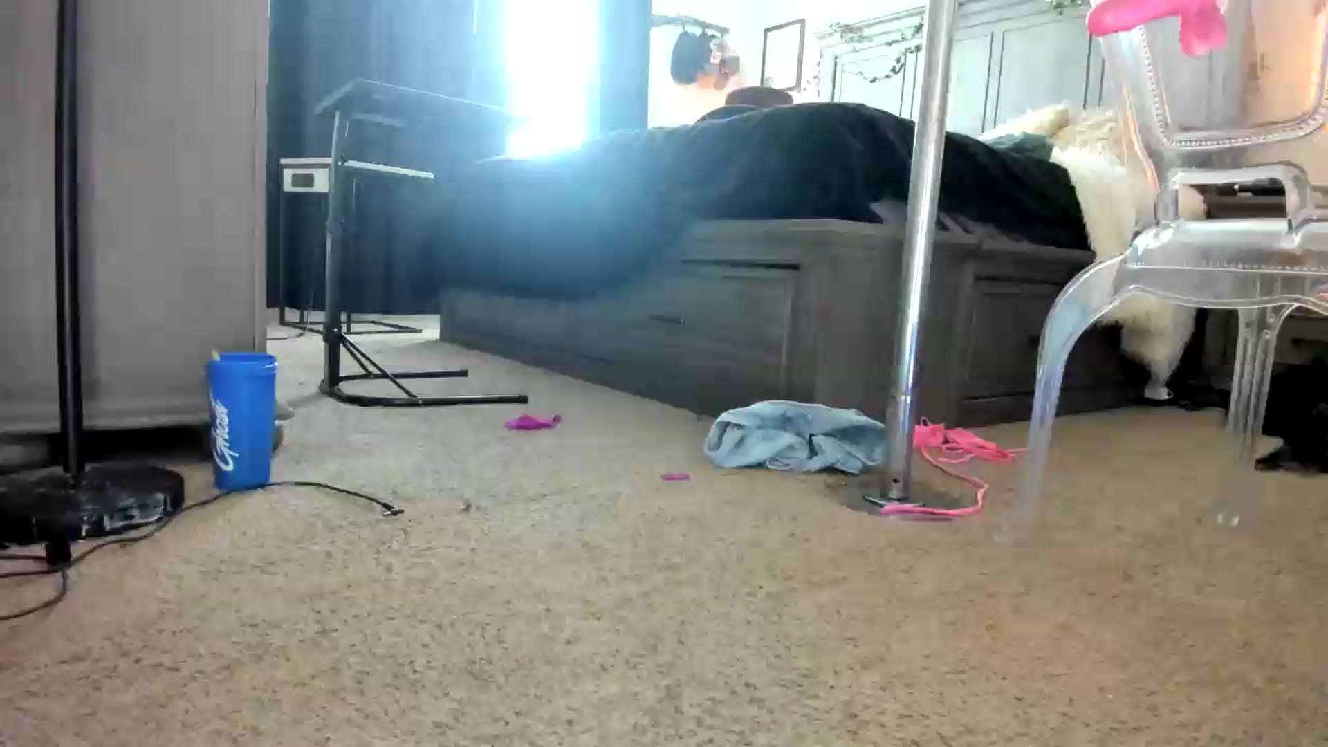 Gallery image thumbnail from PoleBunnyXxx's myfreecams stream on, 08/24/2026, 20:53 image 12 of 20
