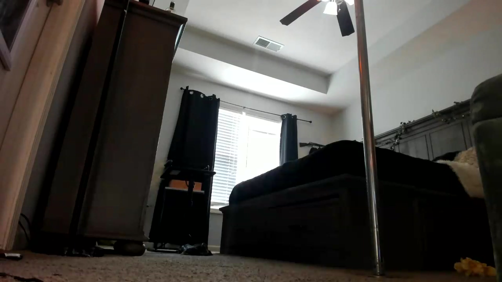 Gallery image thumbnail from PoleBunnyXxx's myfreecams stream on, 08/26/2026, 19:44 image 3 of 20