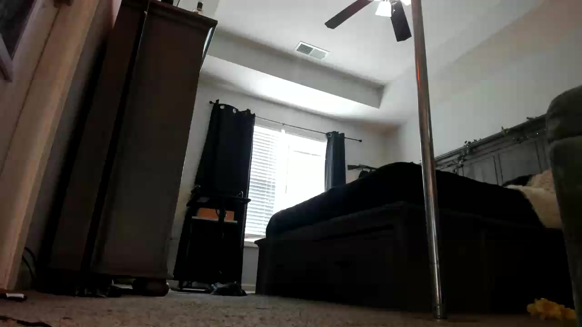 Gallery image thumbnail from PoleBunnyXxx's myfreecams stream on, 08/26/2026, 19:44 image 5 of 20