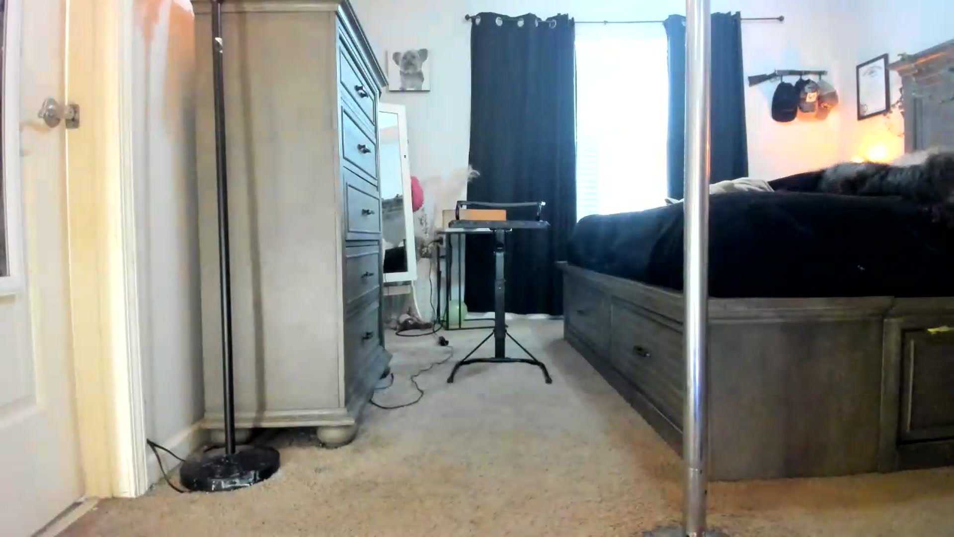 Gallery image thumbnail from PoleBunnyXxx's myfreecams stream on, 08/31/2026, 24:57 image 9 of 20
