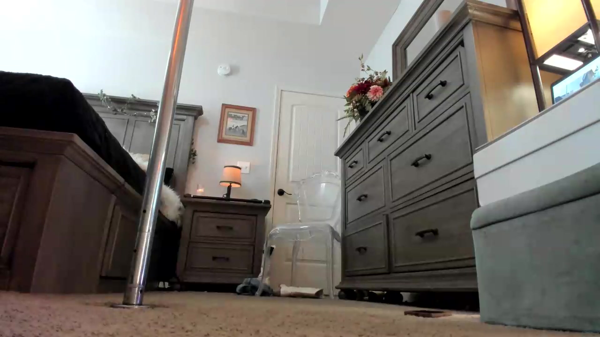Gallery image thumbnail from PoleBunnyXxx's myfreecams stream on, 09/04/2026, 19:12 image 11 of 20