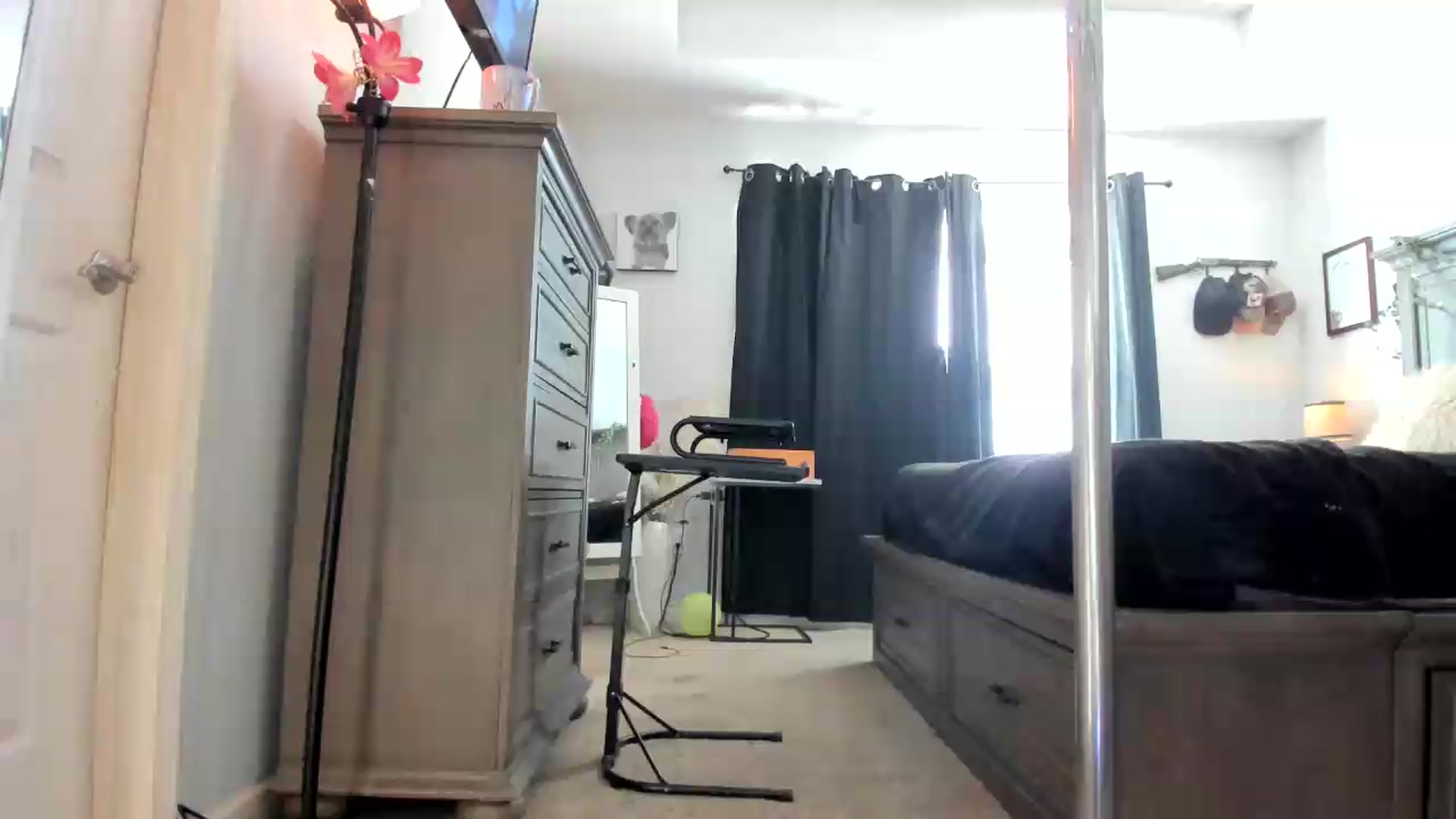 Gallery image thumbnail from PoleBunnyXxx's myfreecams stream on, 09/04/2026, 19:12 image 3 of 20
