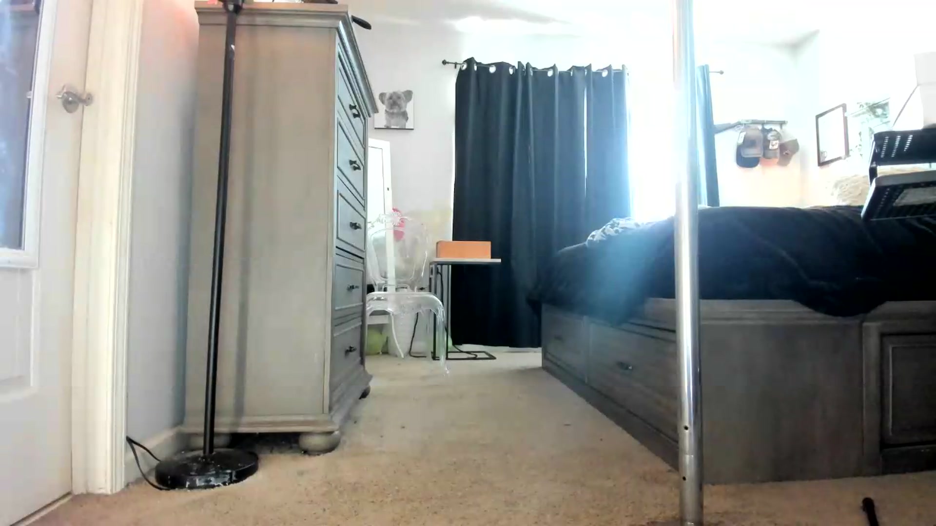 Gallery image thumbnail from PoleBunnyXxx's myfreecams stream on, 09/08/2026, 20:26 image 12 of 20