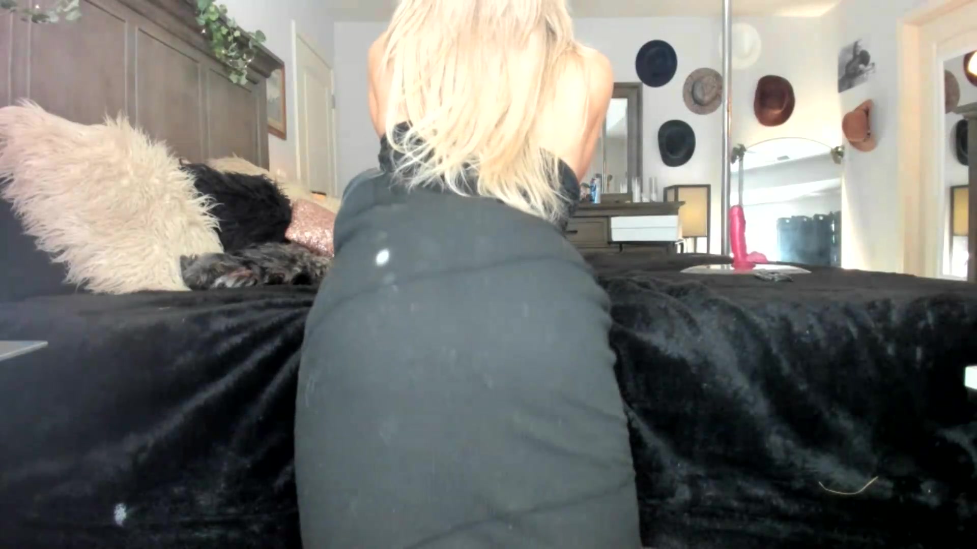 Gallery image thumbnail from PoleBunnyXxx's myfreecams stream on, 09/09/2026, 18:17 image 5 of 20