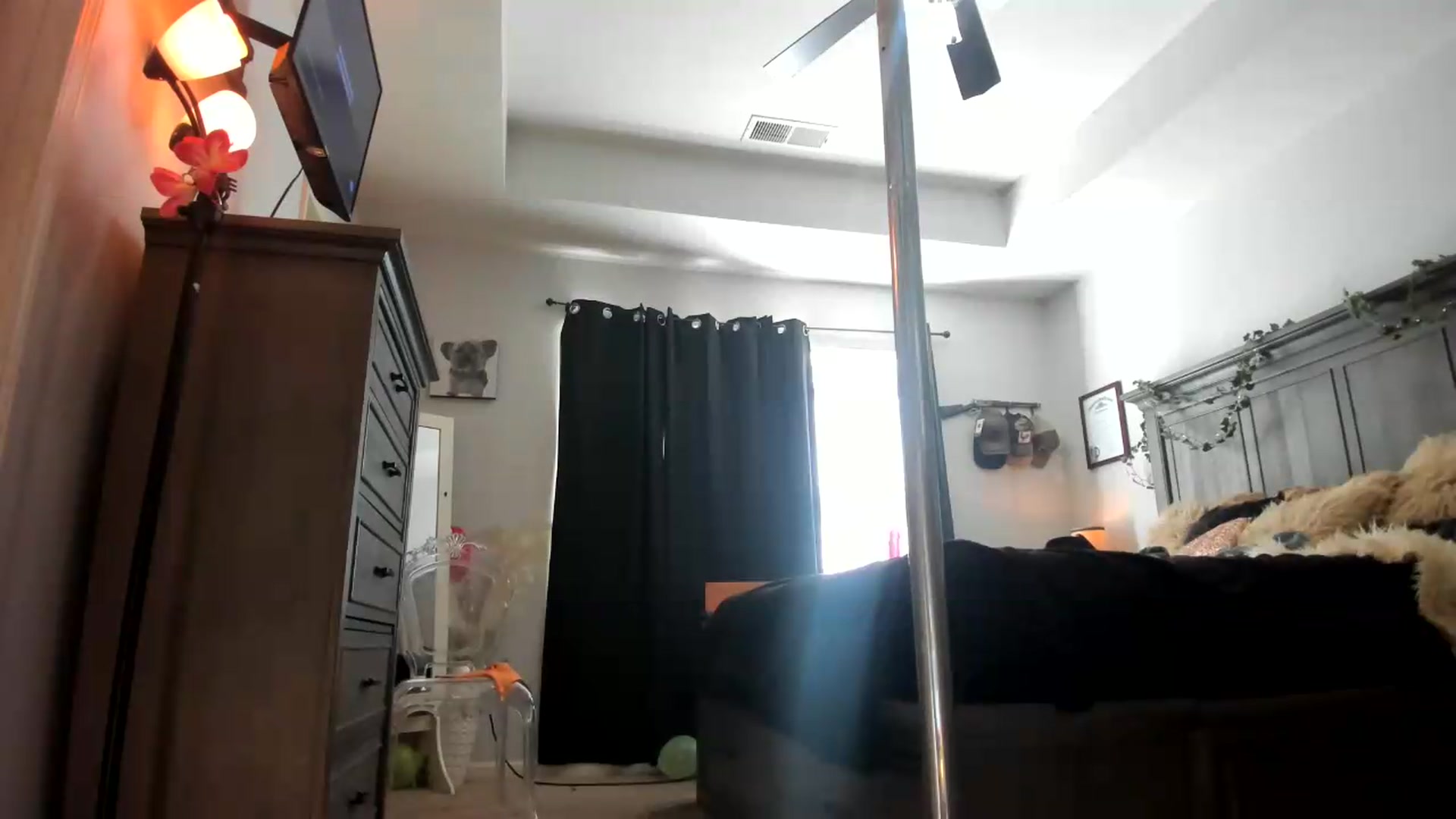 Gallery image thumbnail from PoleBunnyXxx's myfreecams stream on, 09/09/2026, 19:16 image 20 of 20
