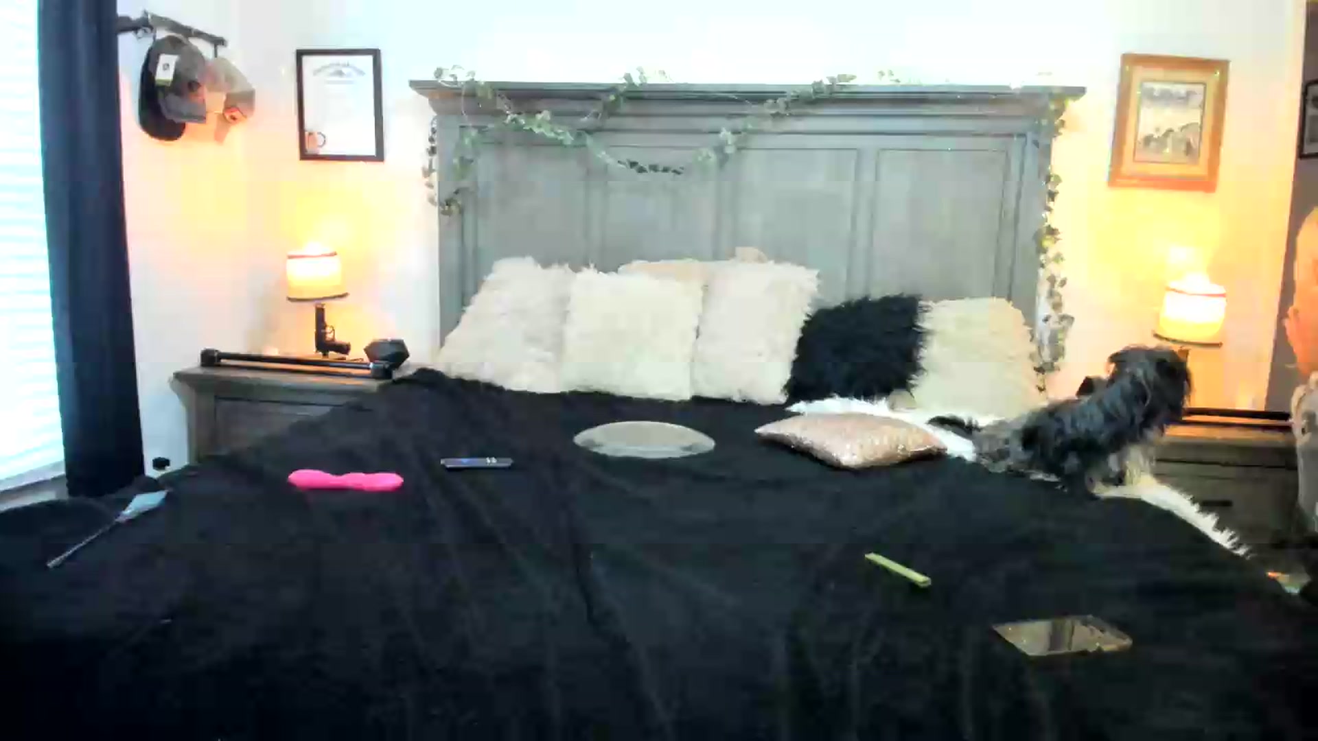 Gallery image thumbnail from PoleBunnyXxx's myfreecams stream on, 09/17/2026, 23:31 image 1 of 20