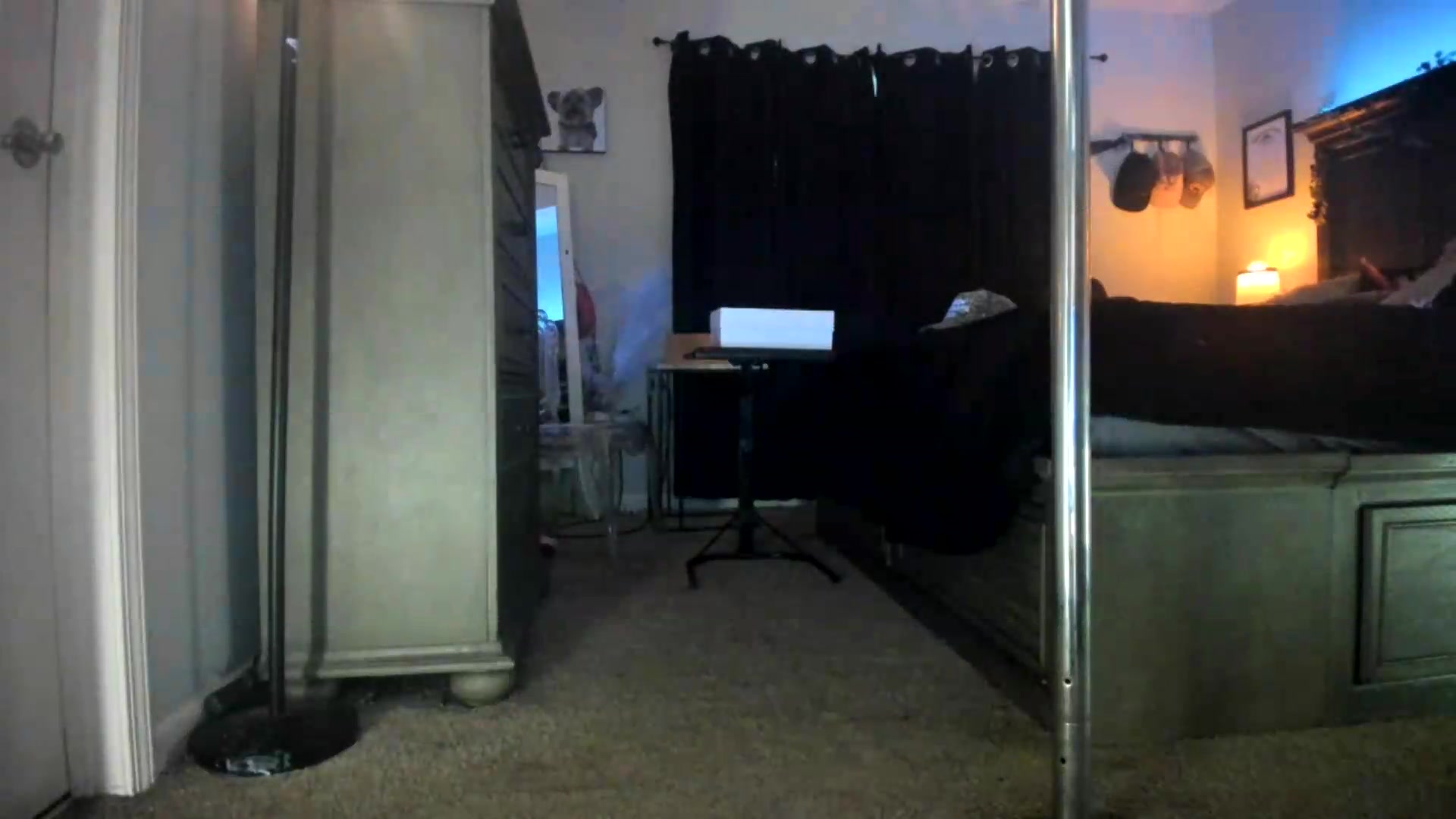 Gallery image thumbnail from PoleBunnyXxx's myfreecams stream on, 09/22/2026, 24:02 image 15 of 20