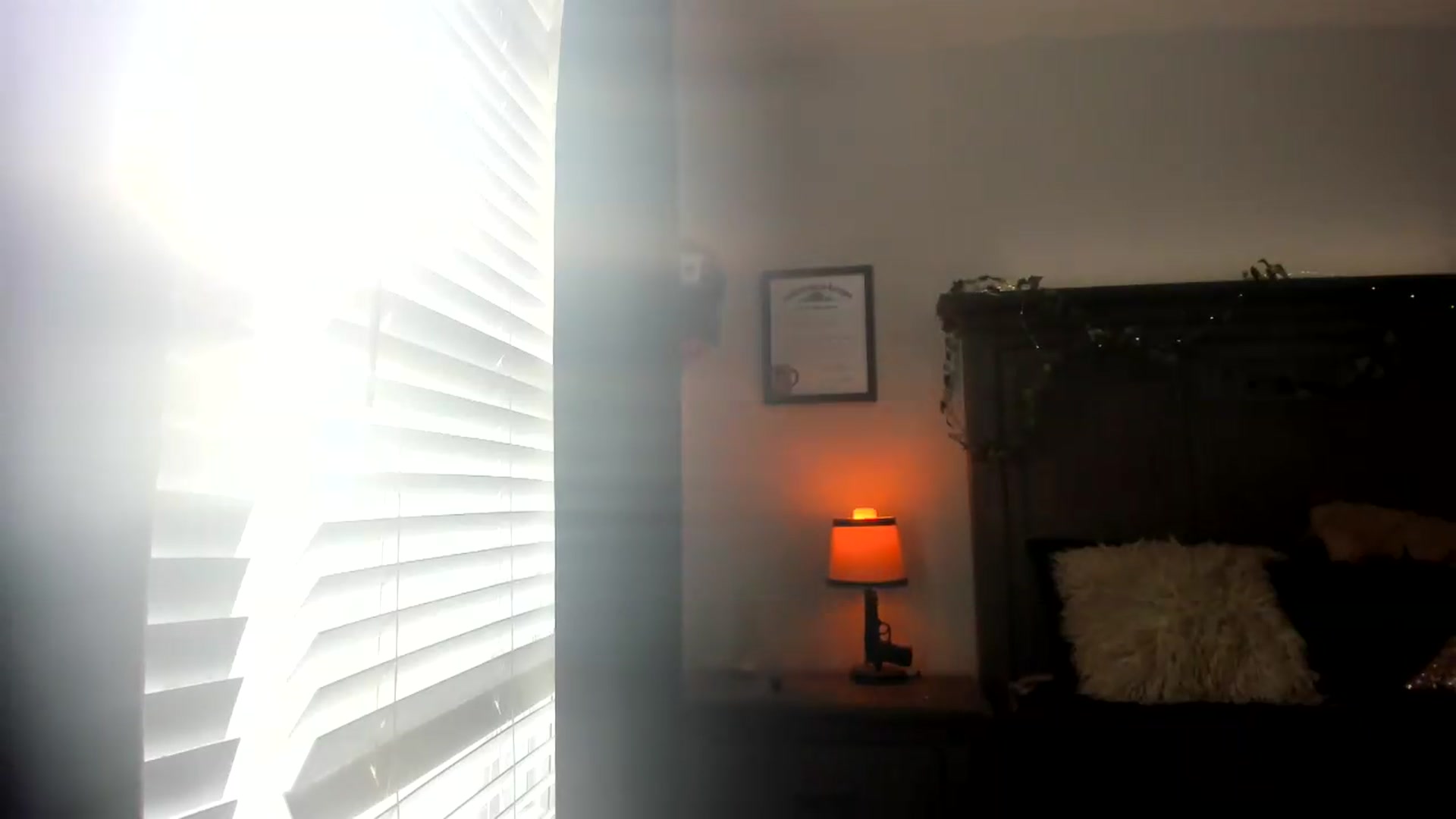 Gallery image thumbnail from PoleBunnyXxx's myfreecams stream on, 09/22/2026, 24:02 image 2 of 20