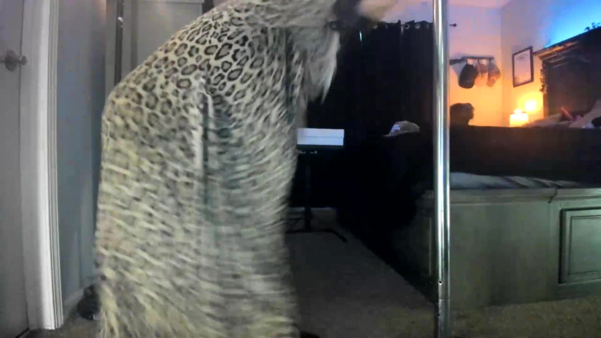 Gallery image thumbnail from PoleBunnyXxx's myfreecams stream on, 09/22/2026, 24:02 image 14 of 20