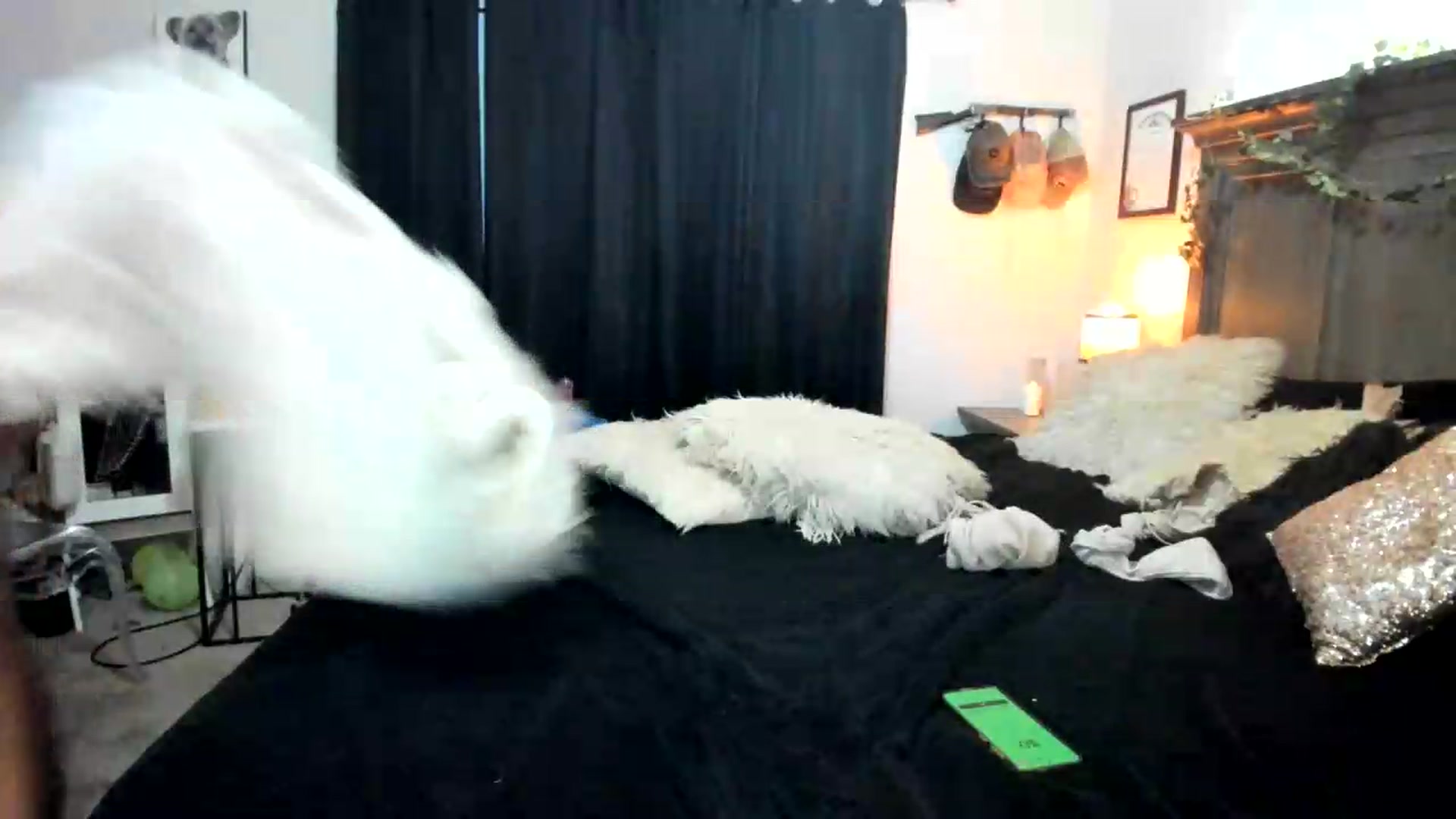Gallery image thumbnail from PoleBunnyXxx's myfreecams stream on, 09/23/2026, 01:45 image 19 of 20
