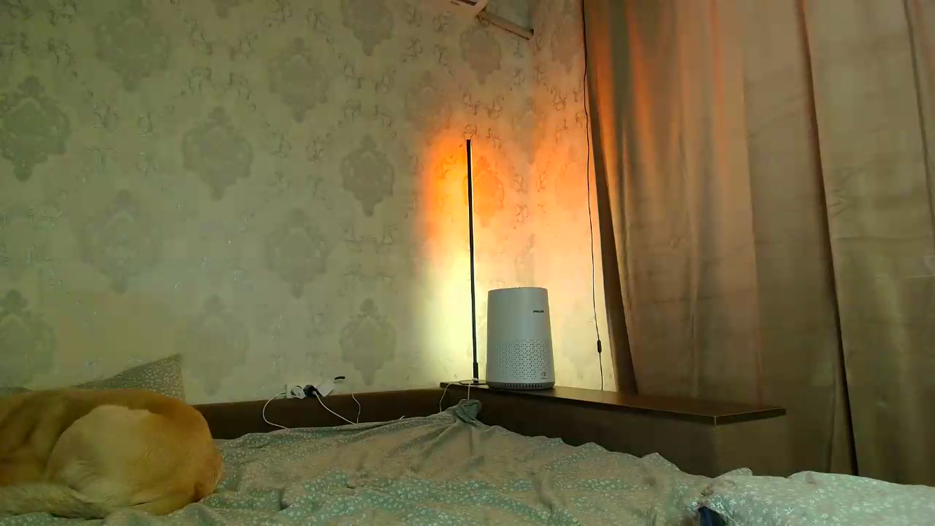 Gallery image thumbnail from PolinaMalina's myfreecams stream on, 08/16/2026, 15:09 image 9 of 20