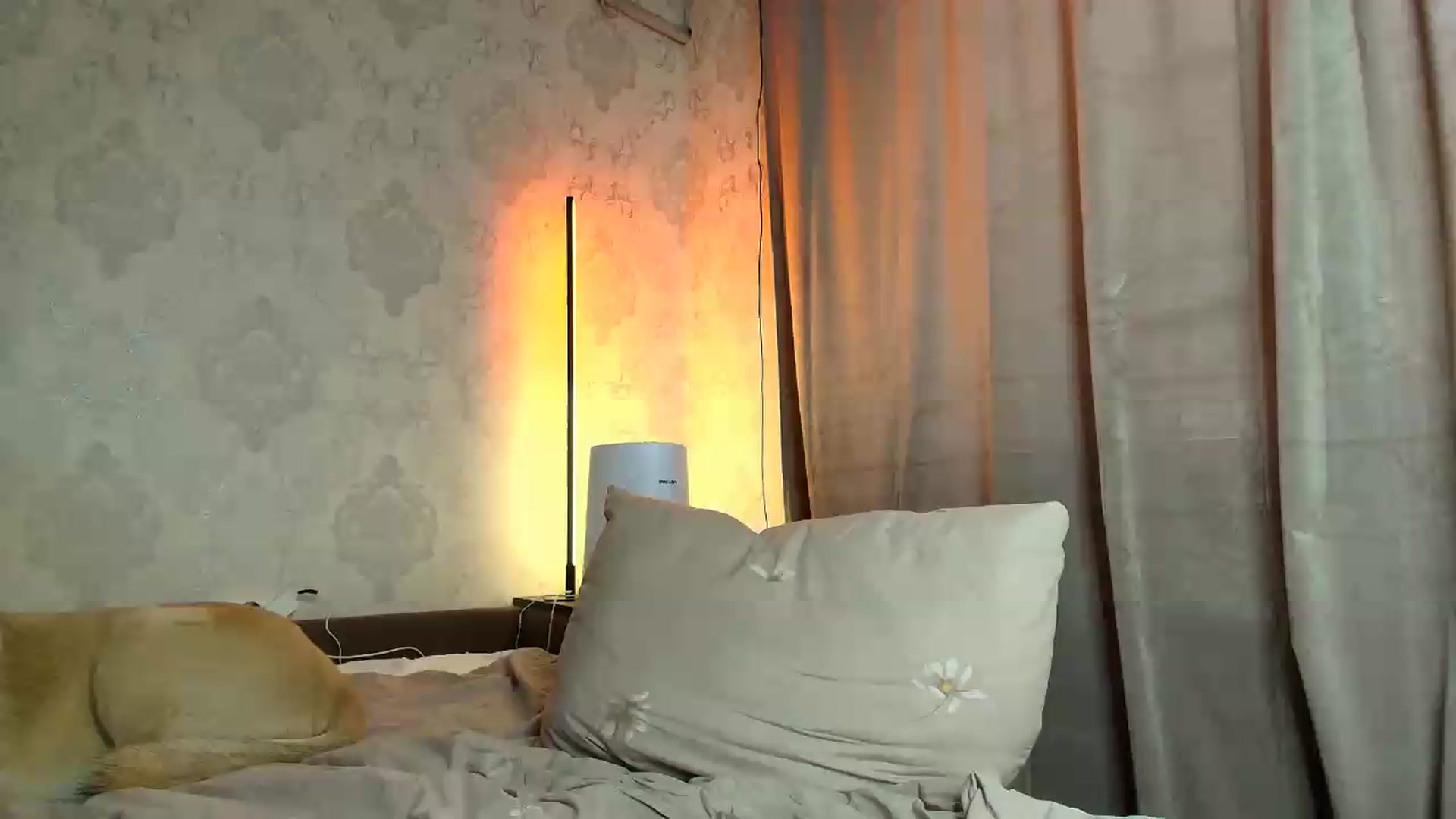 Gallery image thumbnail from PolinaMalina's myfreecams stream on, 08/18/2026, 14:58 image 1 of 20