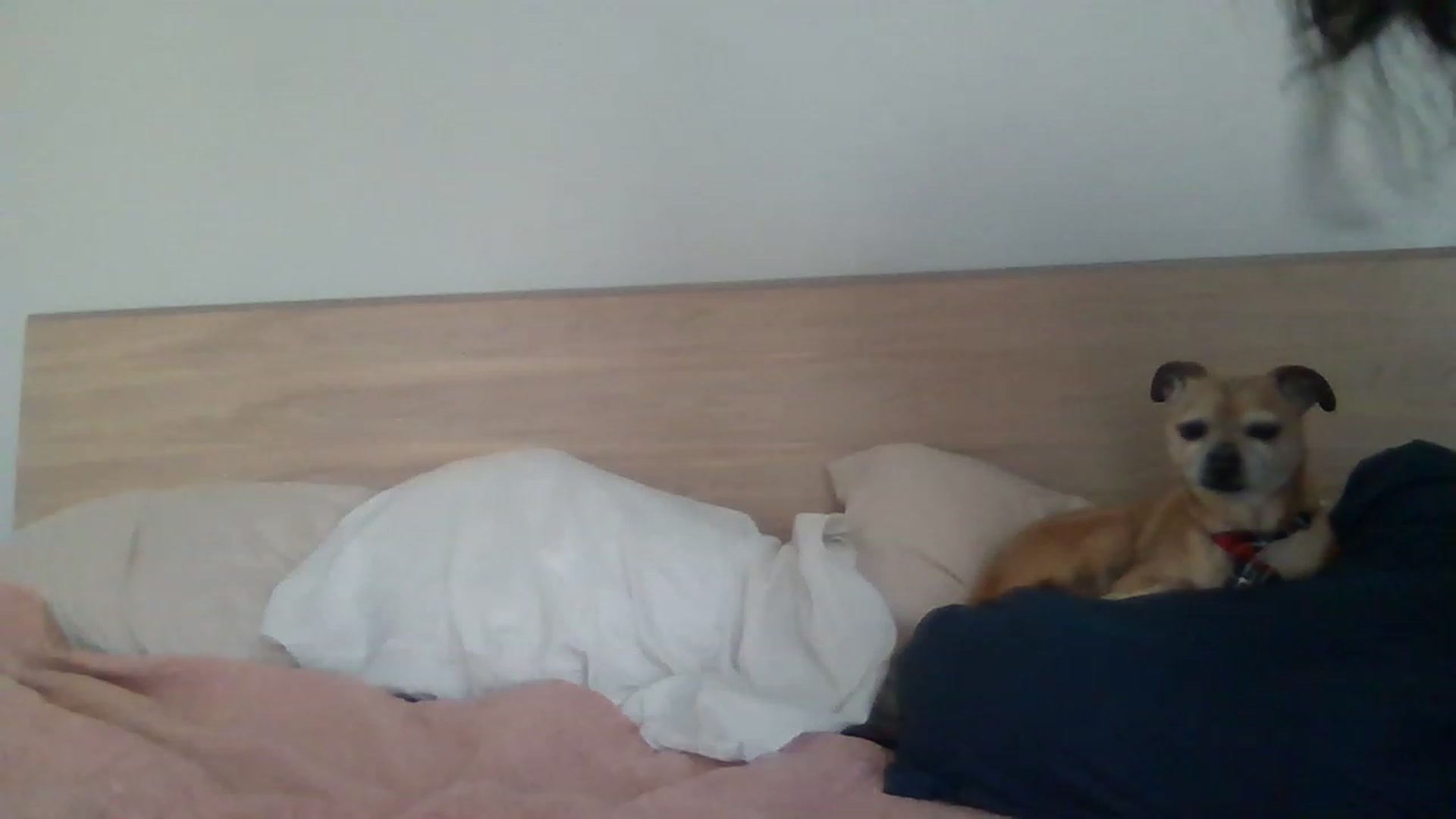 Gallery image thumbnail from PollyPockit's myfreecams stream on, 04/08/2023, 21:49 image 6 of 20