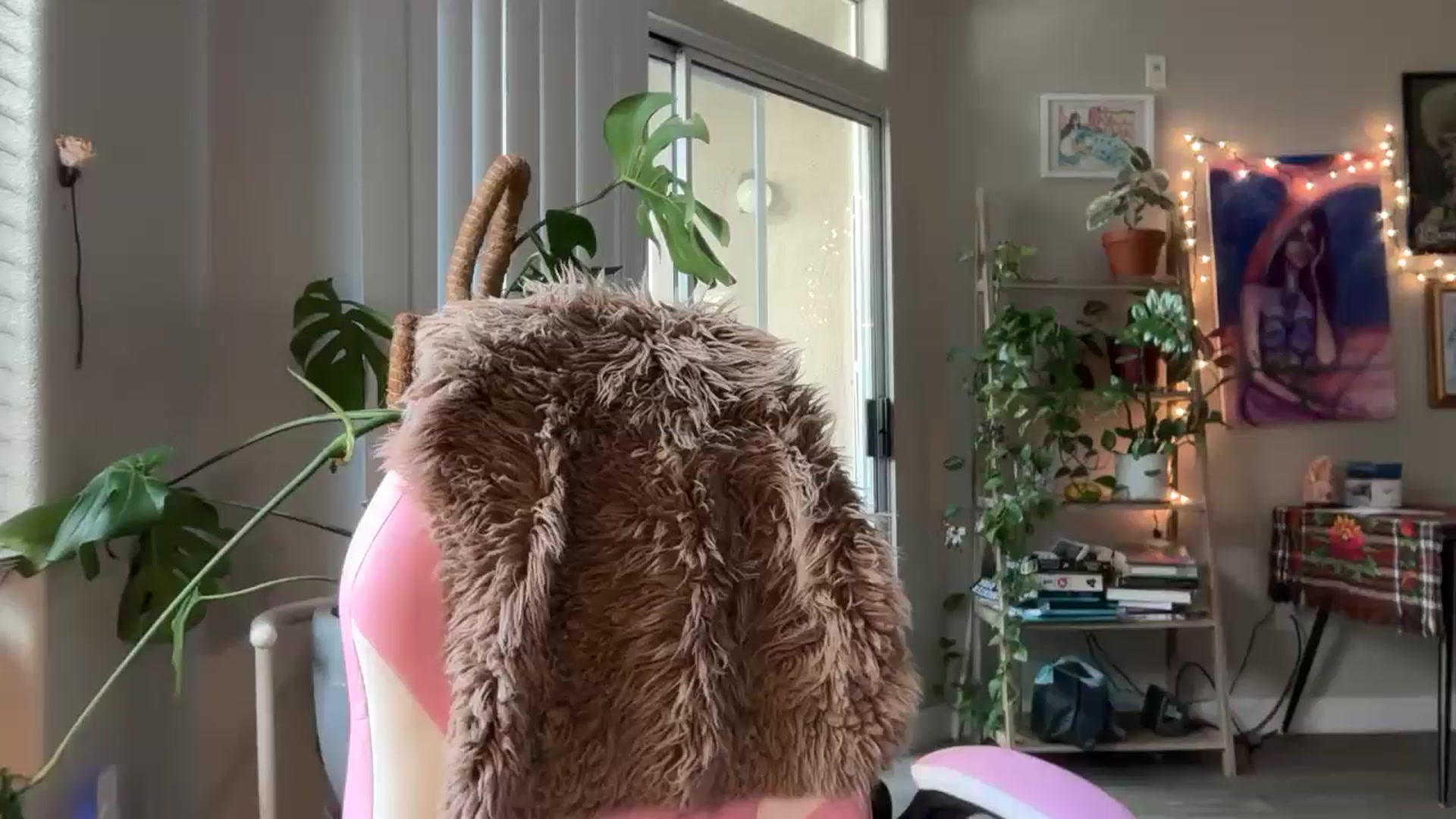 Gallery image thumbnail from PollyPockit's myfreecams stream on, 12/03/2025, 21:36 image 9 of 20