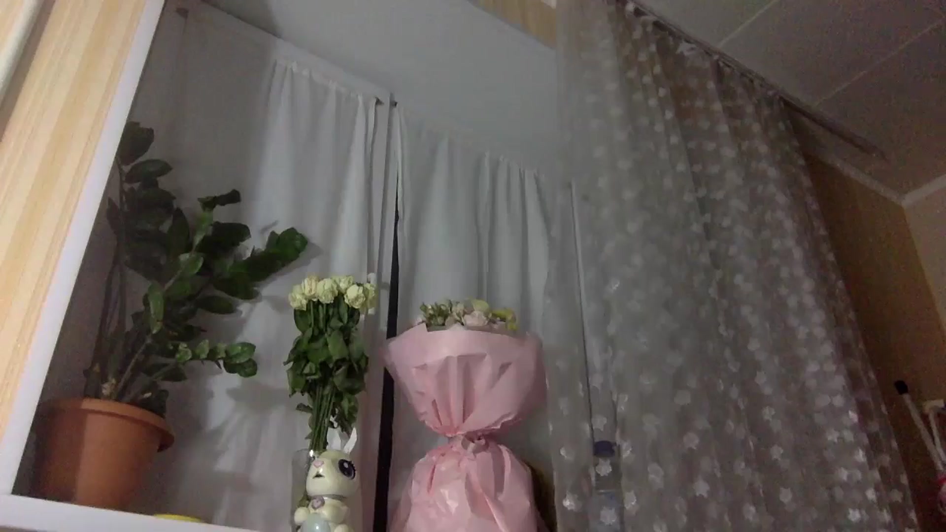 Gallery image thumbnail from Polly_213109's myfreecams stream on, 07/12/2024, 23:52 image 12 of 20