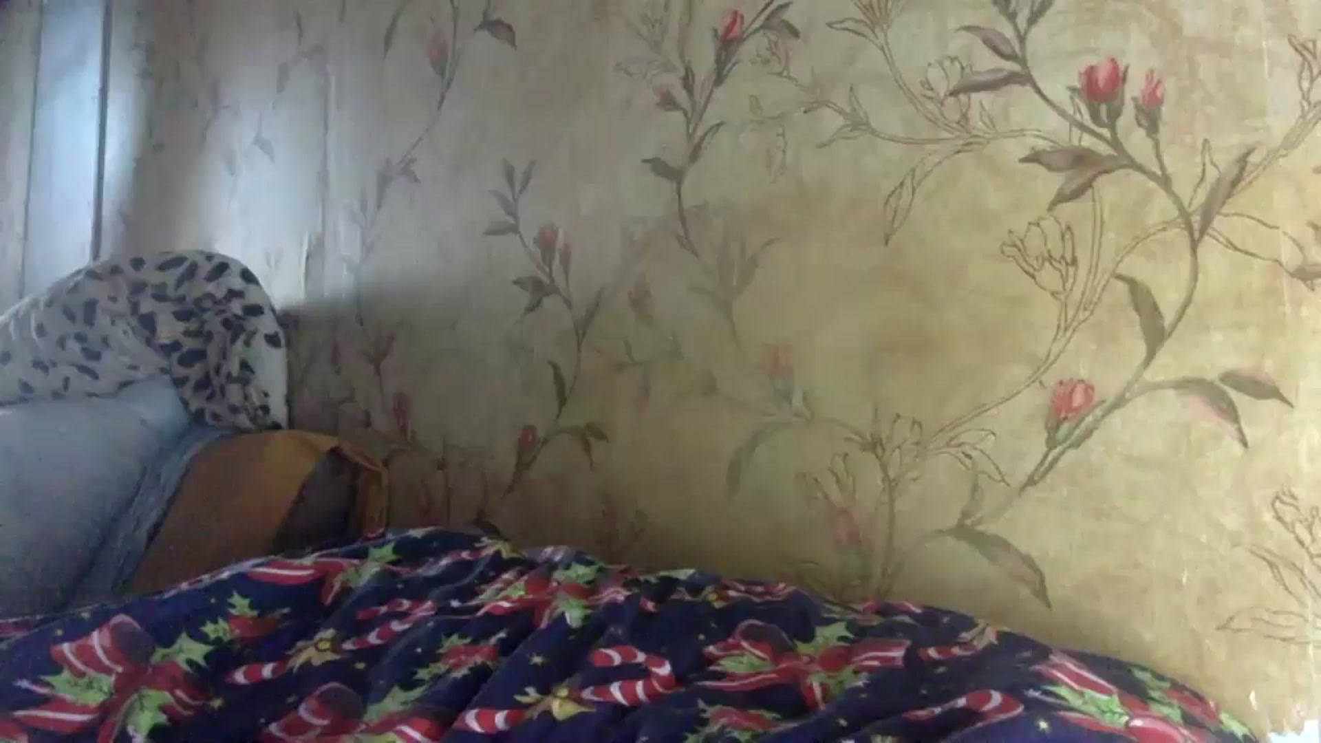 Gallery image thumbnail from Polly_213109's myfreecams stream on, 08/29/2024, 13:34 image 1 of 20