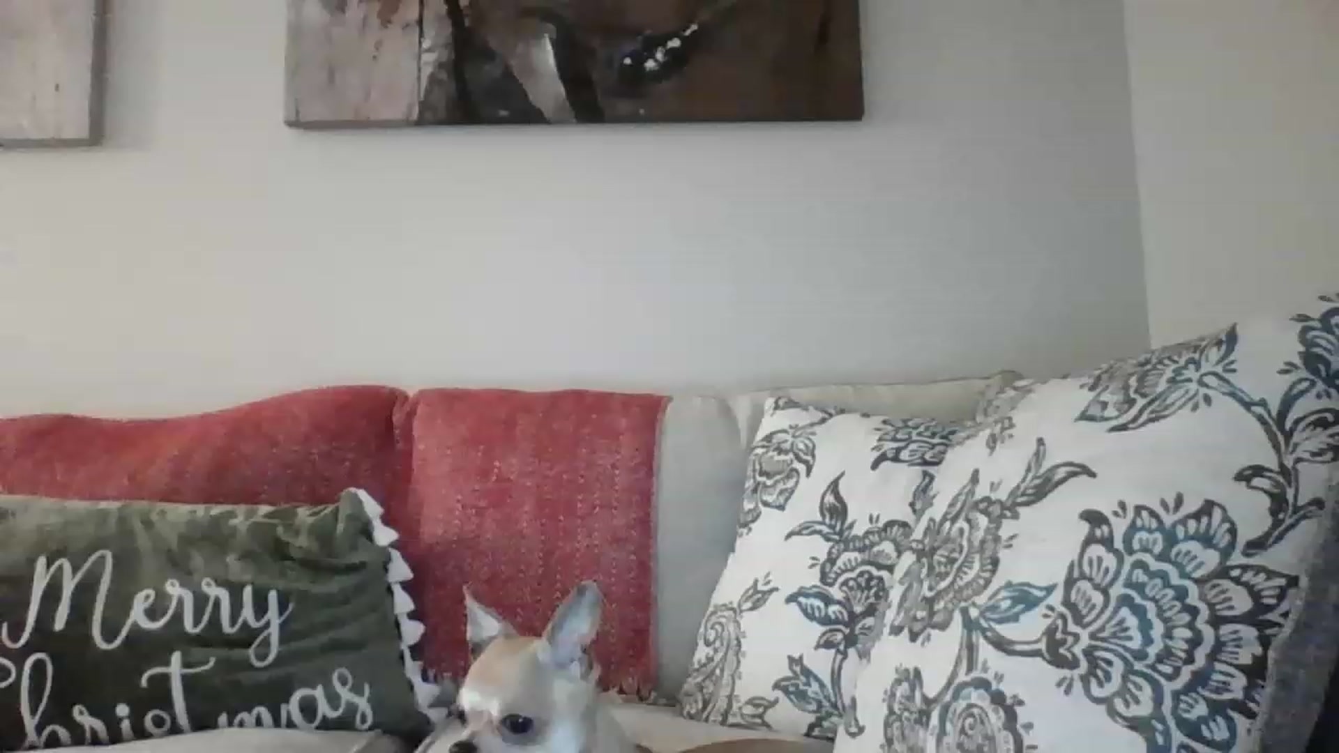 Gallery image thumbnail from PonyoLovesHam's myfreecams stream on, 12/10/2022, 24:31 image 10 of 20