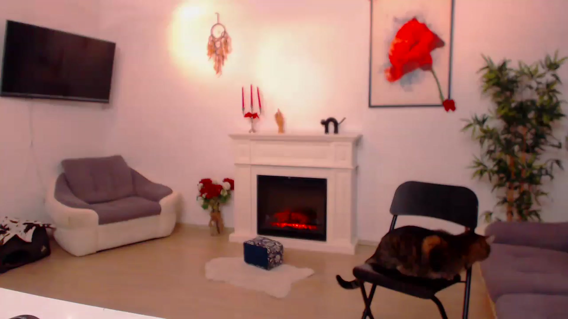 Gallery image thumbnail from PoppyNaked's myfreecams stream on, 02/14/2023, 07:47 image 7 of 20