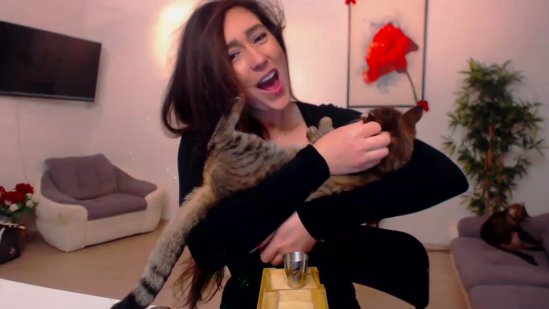 Gallery image thumbnail from PoppyNaked's myfreecams stream on, 03/12/2023, 06:37 image 7 of 20