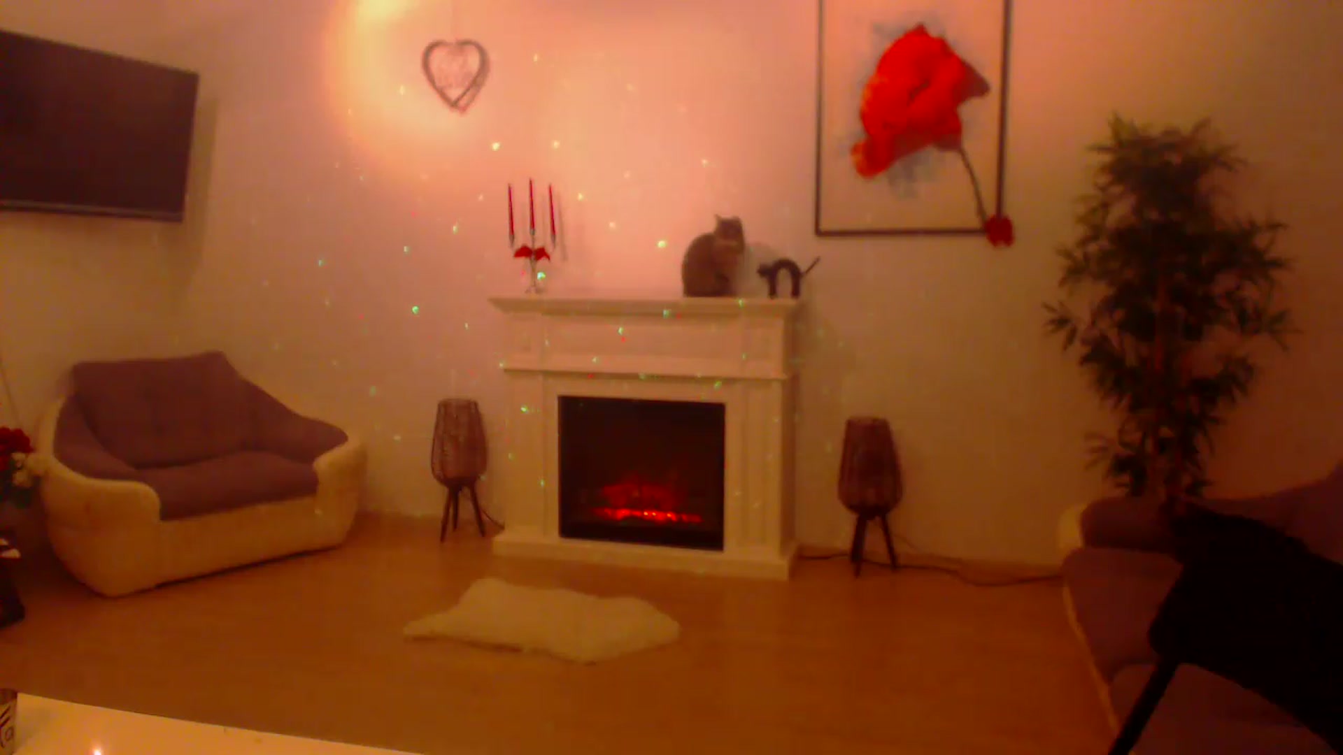 Gallery image thumbnail from PoppyNaked's myfreecams stream on, 03/13/2023, 05:58 image 14 of 20