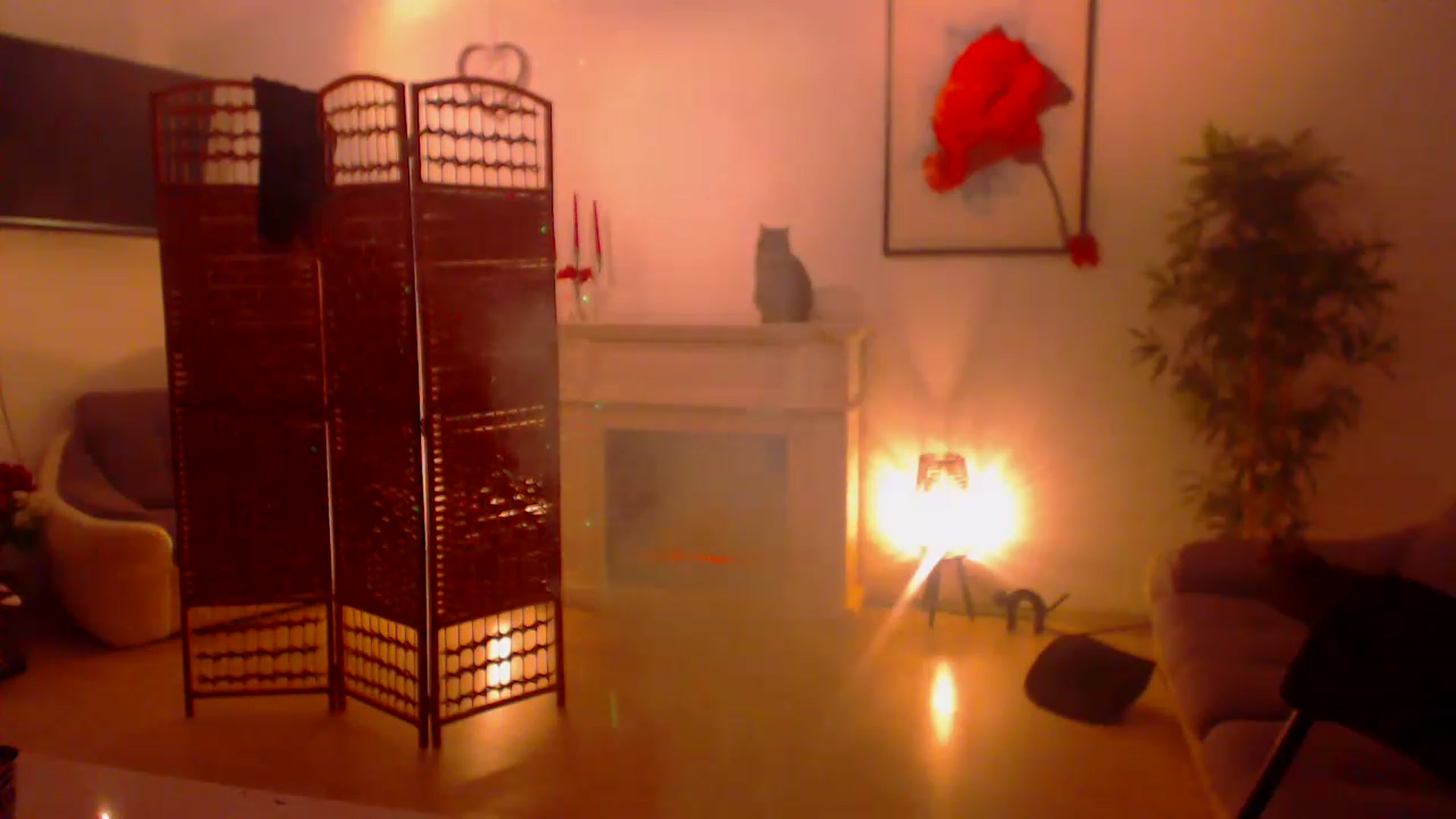 Gallery image thumbnail from PoppyNaked's myfreecams stream on, 03/13/2023, 05:58 image 17 of 20