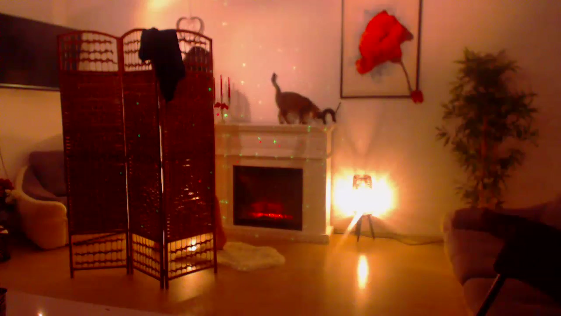 Gallery image thumbnail from PoppyNaked's myfreecams stream on, 03/13/2023, 05:58 image 15 of 20