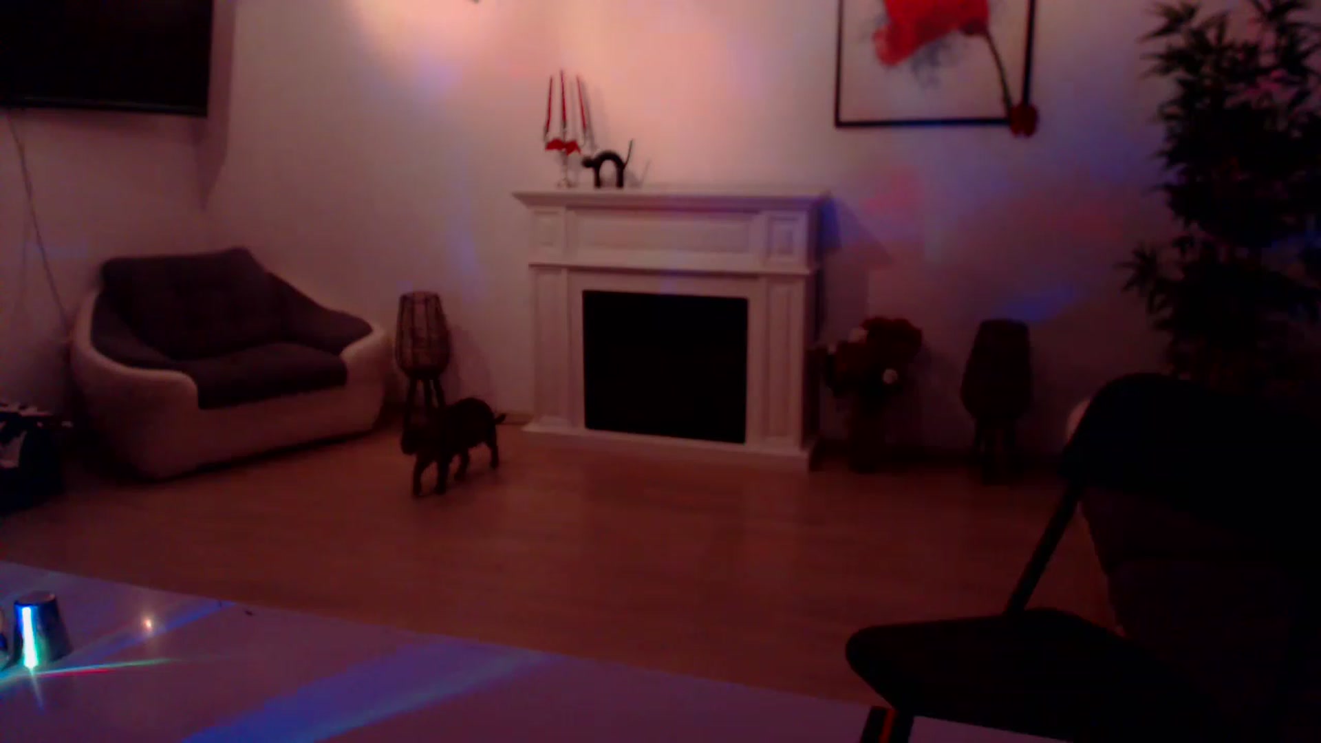 Gallery image thumbnail from PoppyNaked's myfreecams stream on, 06/20/2023, 06:21 image 9 of 20