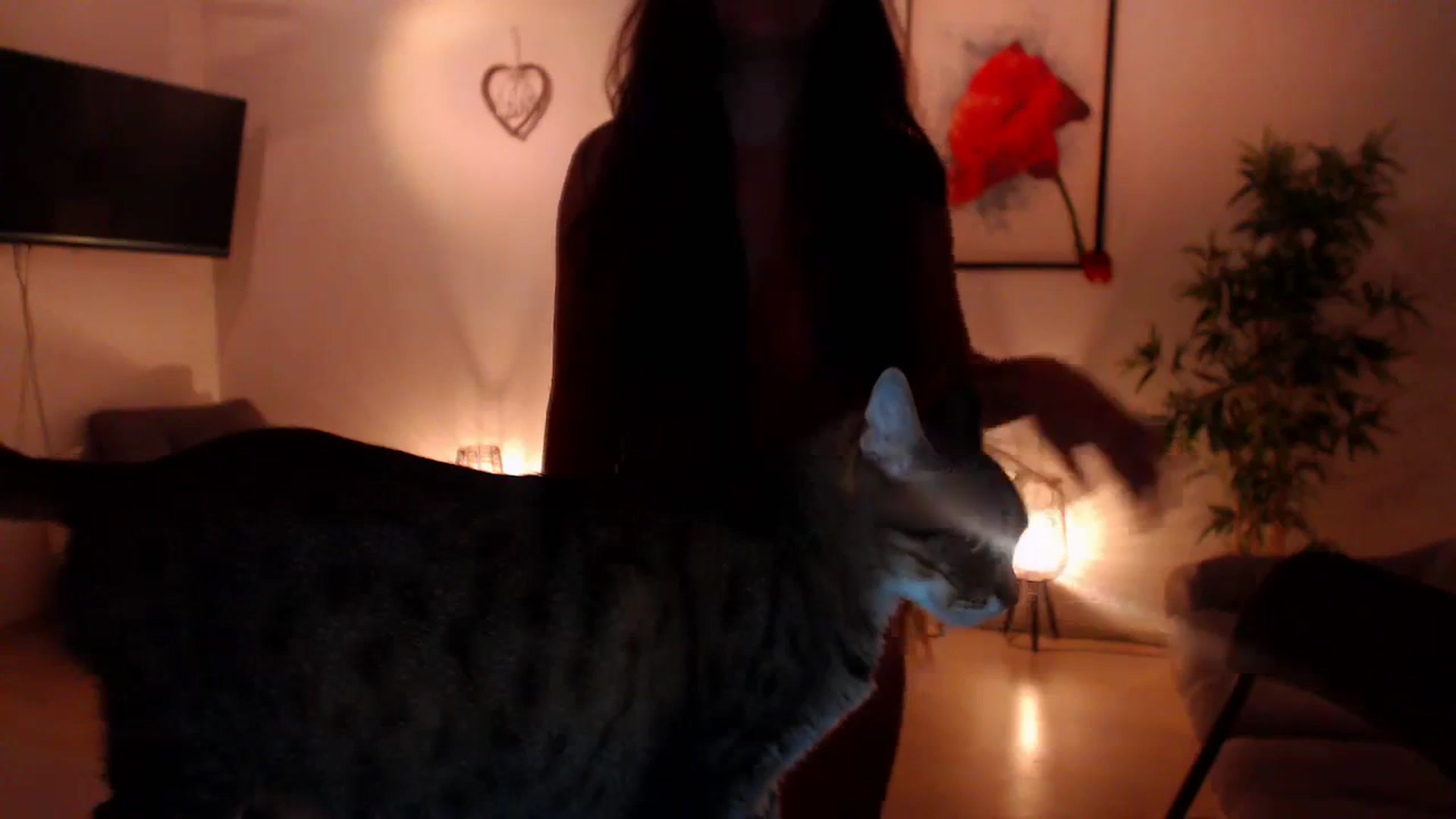 Gallery image thumbnail from PoppyNaked's myfreecams stream on, 09/17/2023, 06:01 image 15 of 20