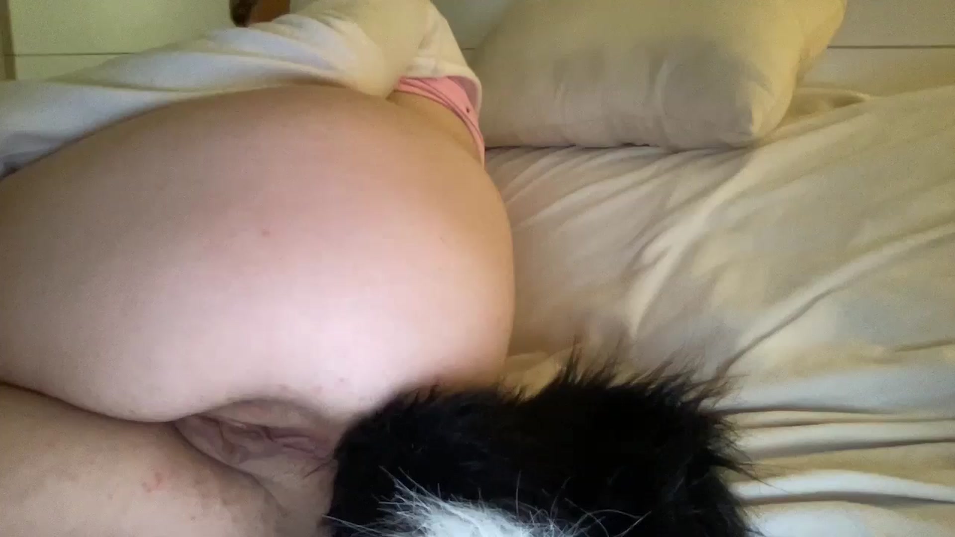 Gallery image thumbnail from PosiePleases's myfreecams stream on, 03/16/2025, 11:07 image 12 of 20