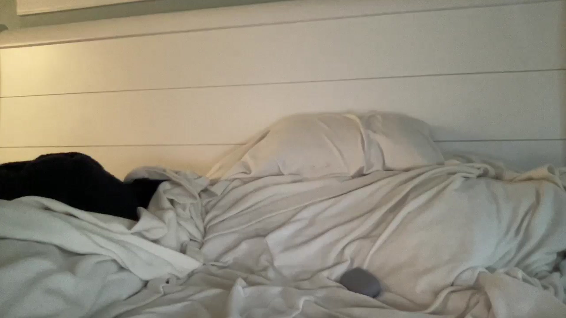 Gallery image thumbnail from PosiePleases's myfreecams stream on, 03/17/2025, 20:55 image 19 of 20