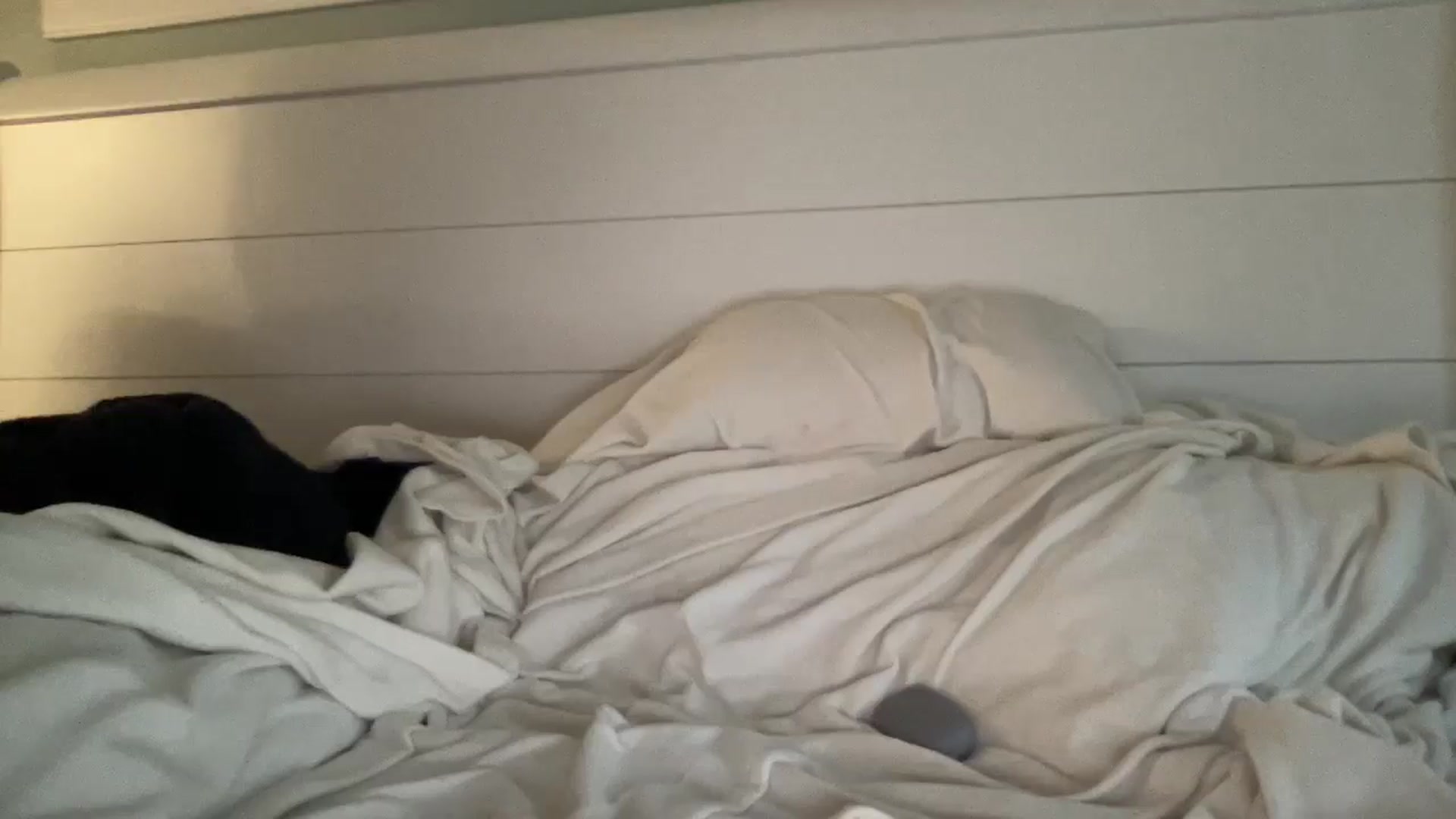 Gallery image thumbnail from PosiePleases's myfreecams stream on, 03/17/2025, 20:55 image 20 of 20