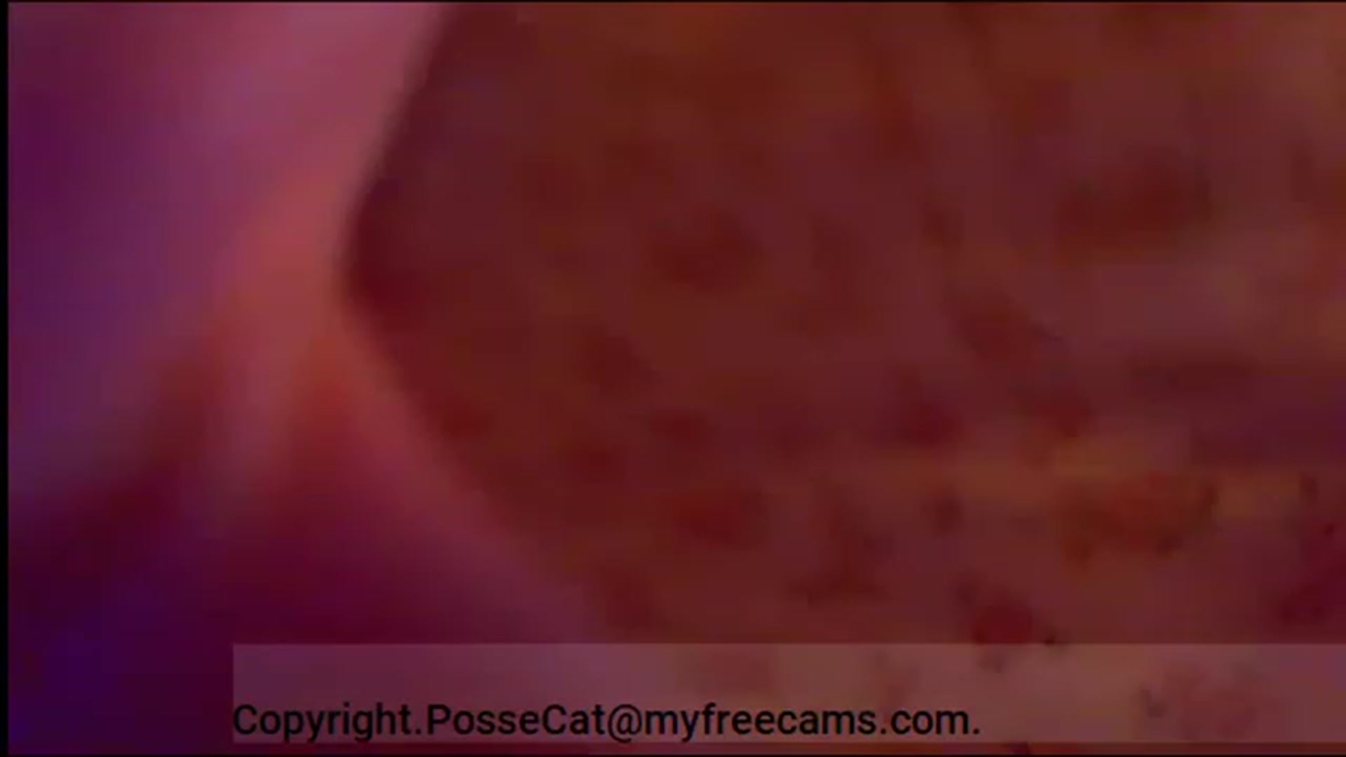Gallery image thumbnail from PosseCat's myfreecams stream on, 01/15/2023, 07:40 image 18 of 20
