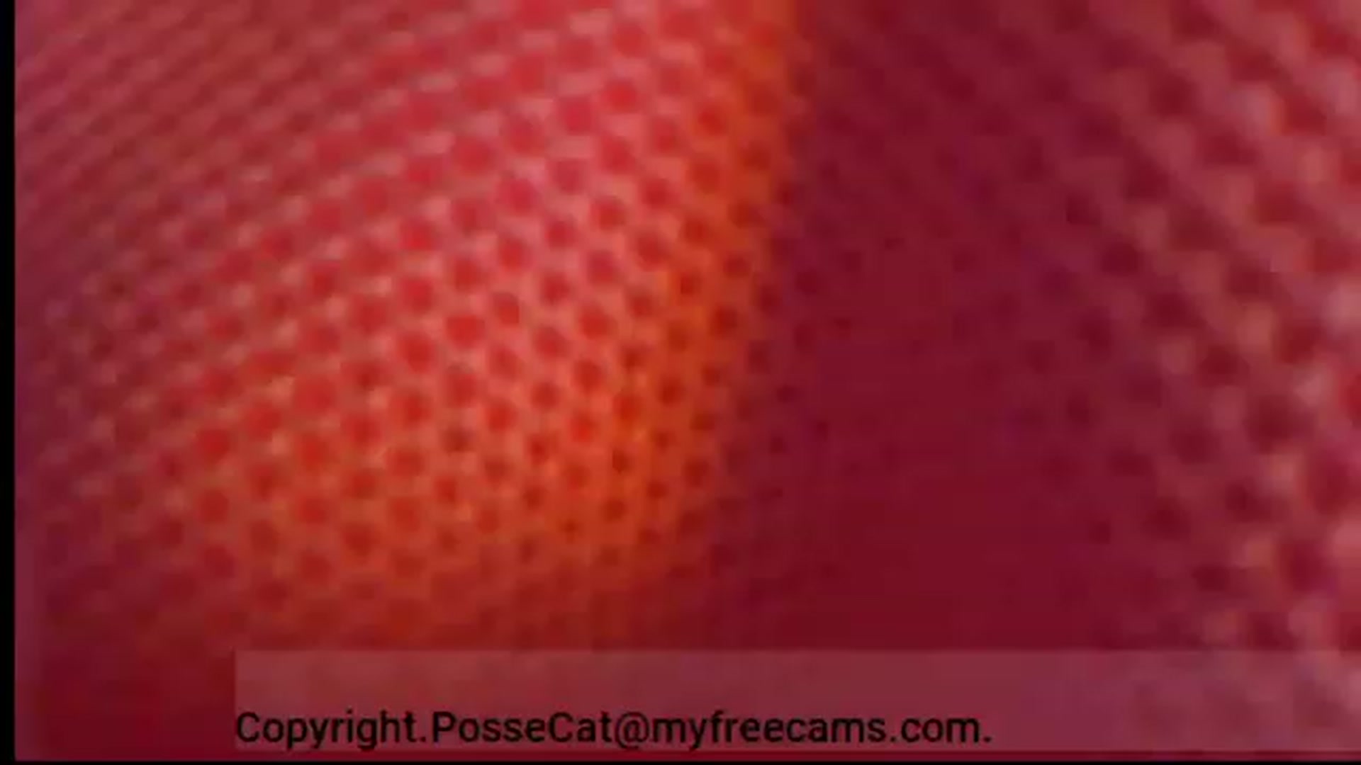 Gallery image thumbnail from PosseCat's myfreecams stream on, 01/21/2023, 08:23 image 4 of 20