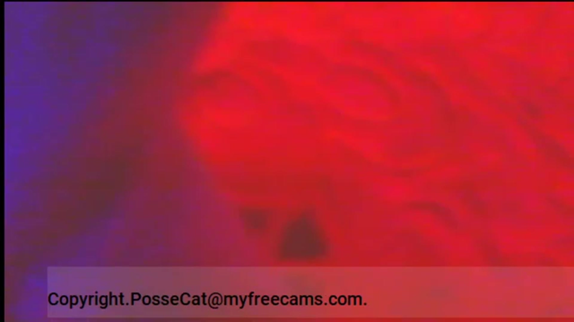 Gallery image thumbnail from PosseCat's myfreecams stream on, 02/10/2023, 08:35 image 17 of 20