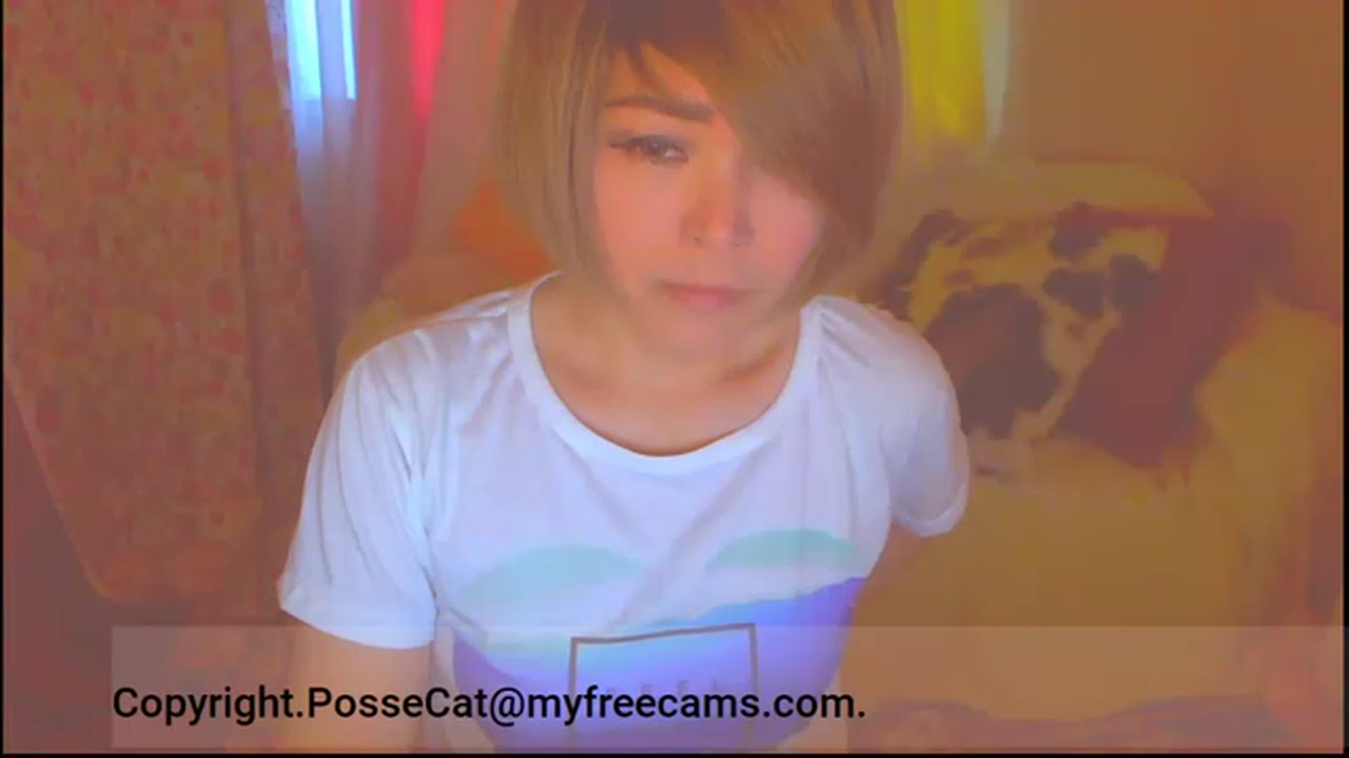 Gallery image thumbnail from PosseCat's myfreecams stream on, 02/19/2023, 08:33 image 8 of 20