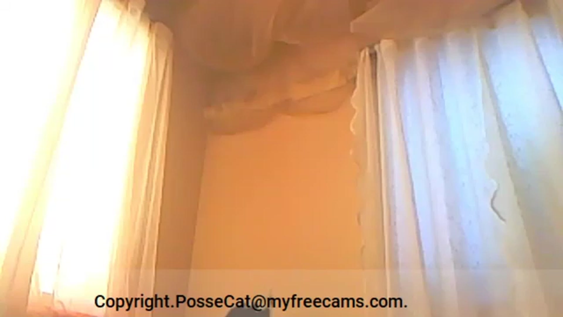 Gallery image thumbnail from PosseCat's myfreecams stream on, 06/18/2023, 09:07 image 18 of 20