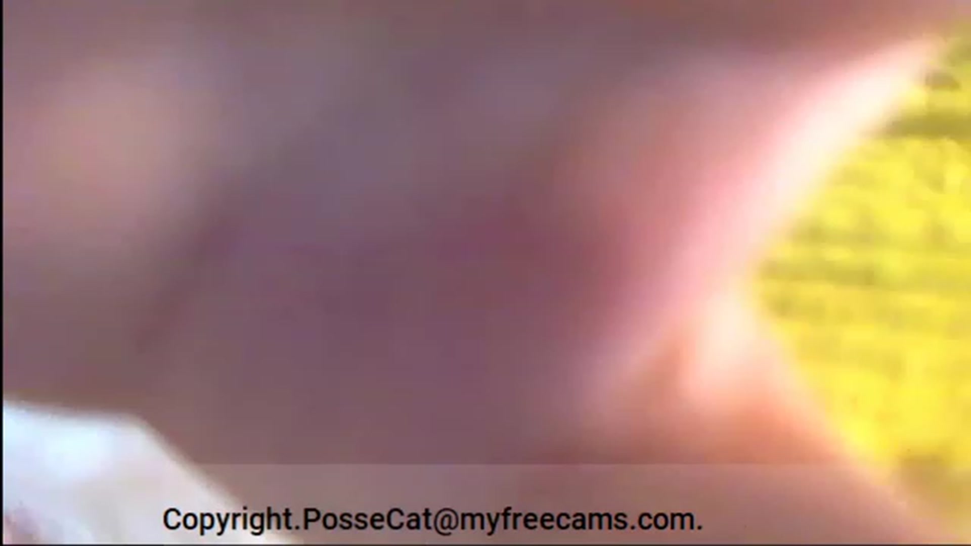 Gallery image thumbnail from PosseCat's myfreecams stream on, 08/20/2023, 09:01 image 13 of 20