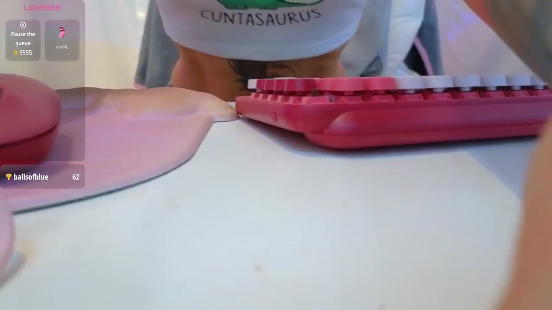 Gallery image thumbnail from PossumPrincss's myfreecams stream on, 01/11/2025, 20:27 image 9 of 20