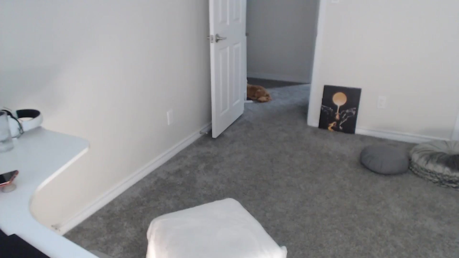 Gallery image thumbnail from Pot_Kitten's myfreecams stream on, 05/03/2024, 16:59 image 7 of 20